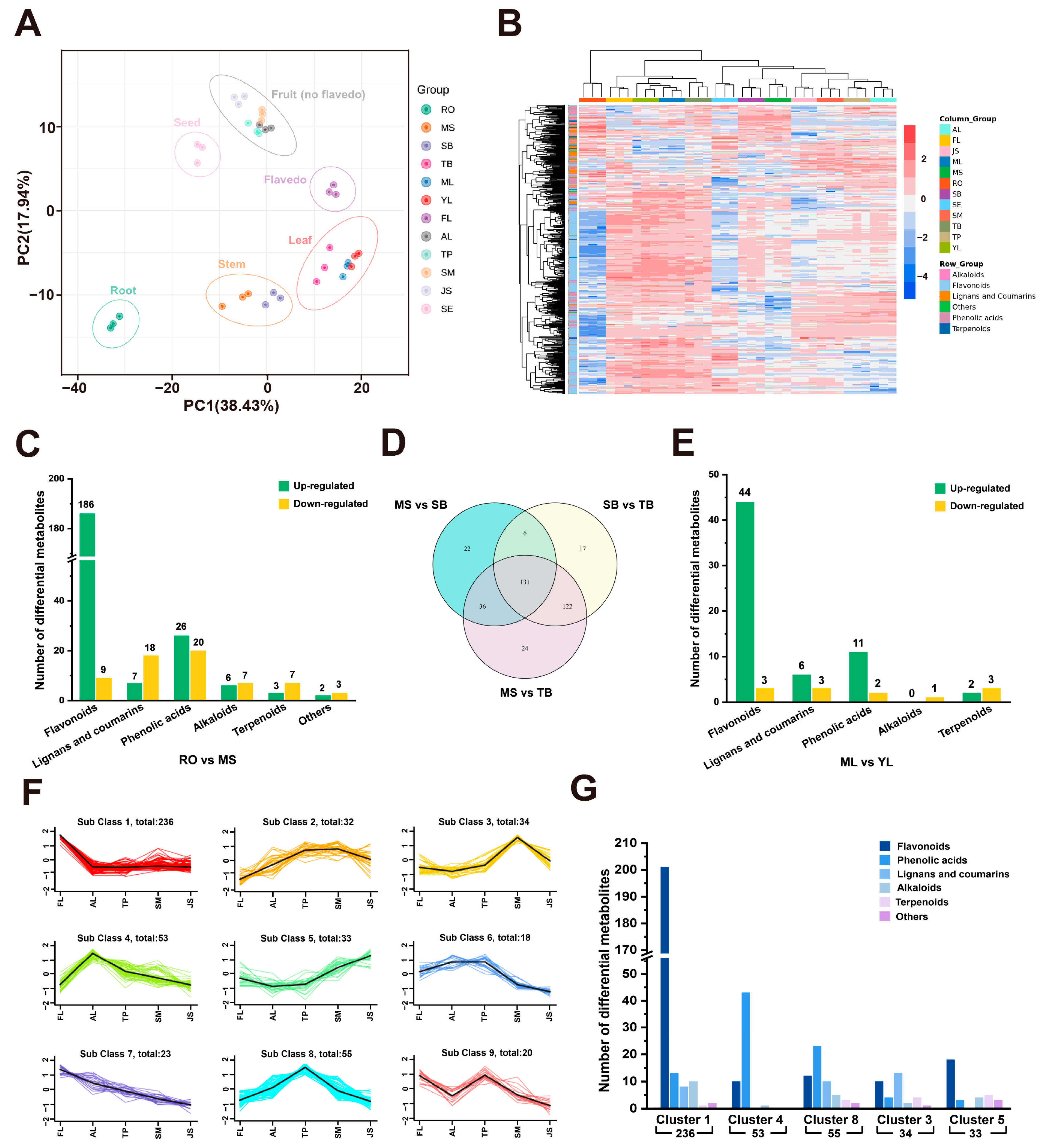 Antioxidants 13 00243 g002