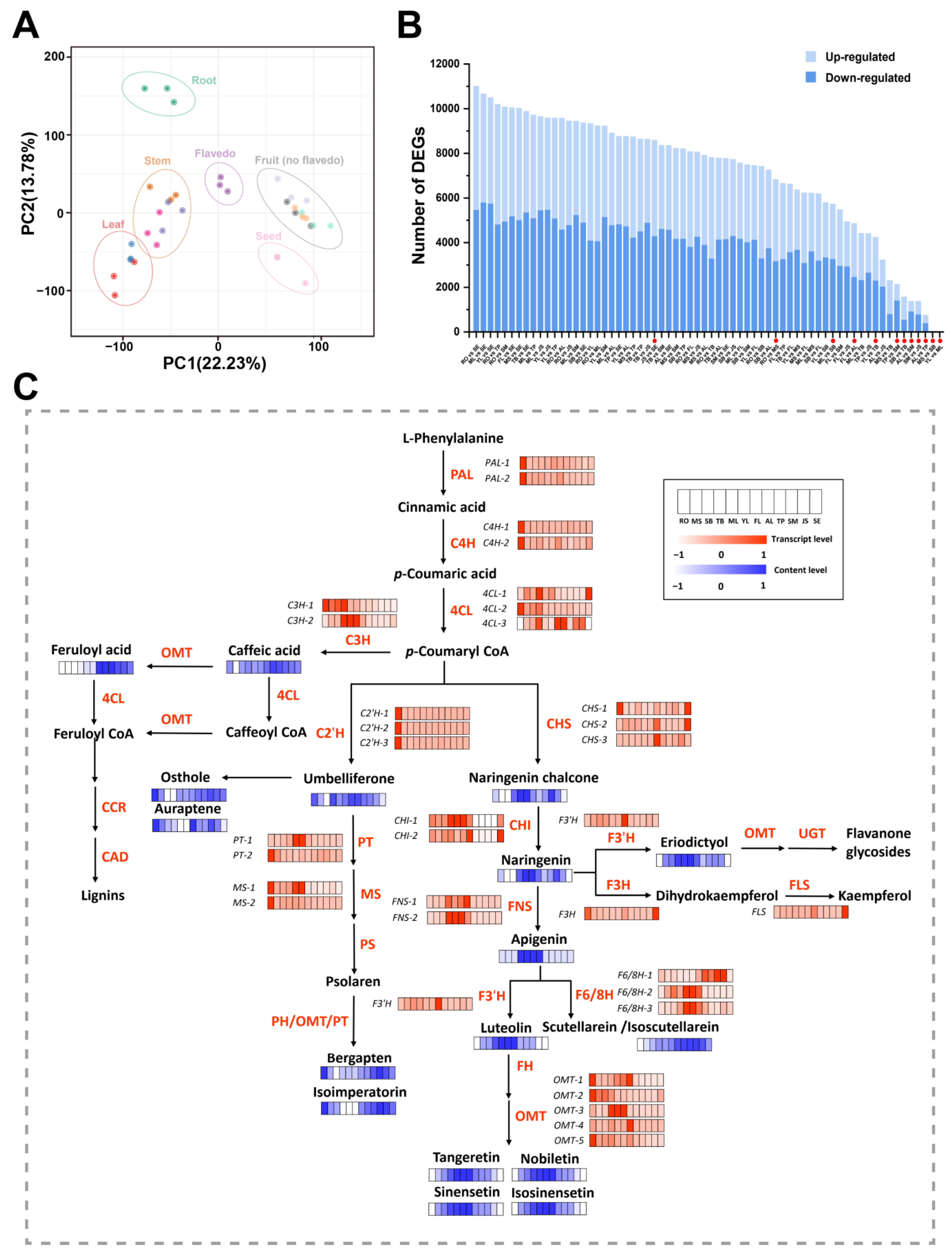 Antioxidants 13 00243 g003