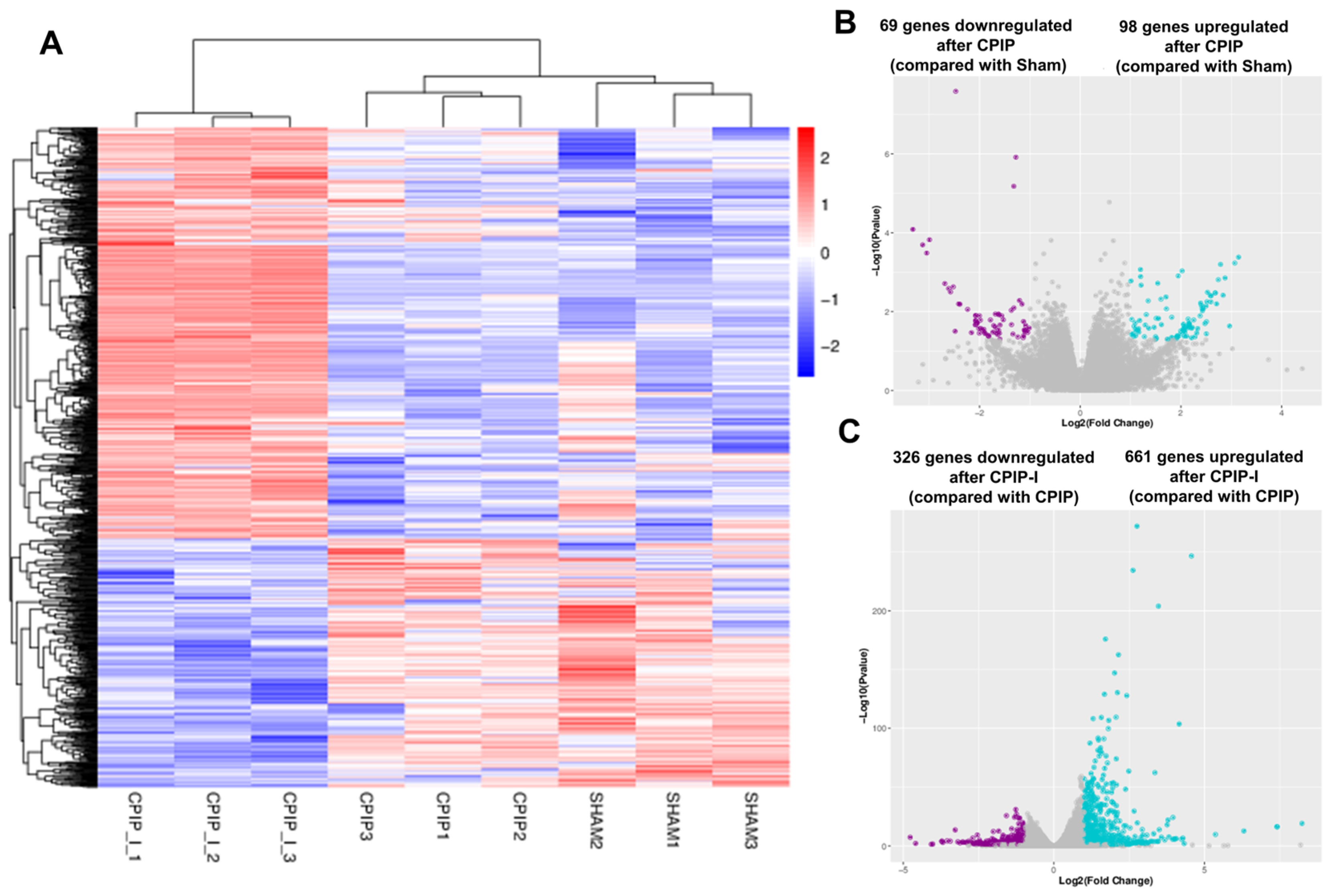 Antioxidants 13 00244 g005