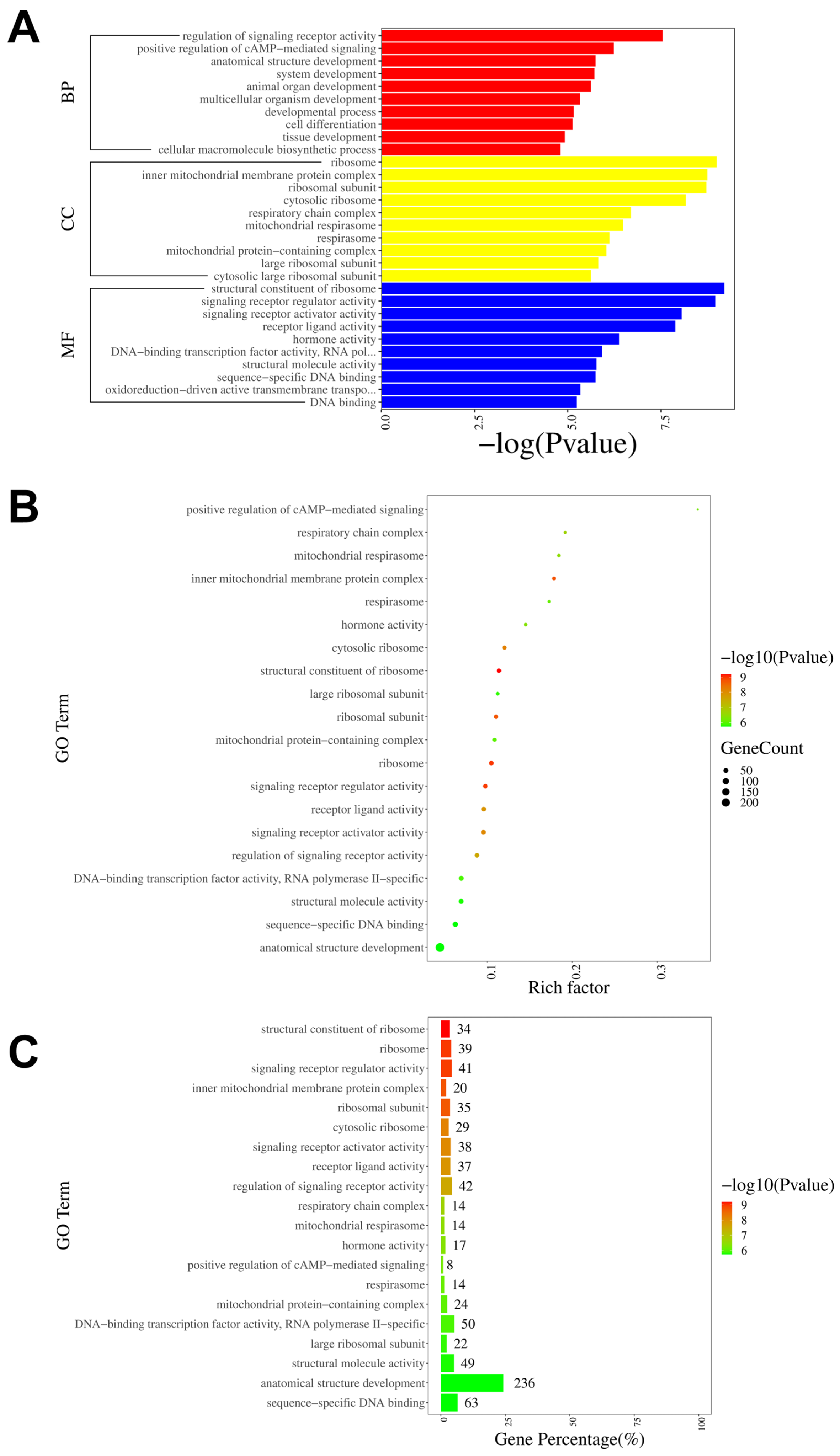 Antioxidants 13 00244 g007