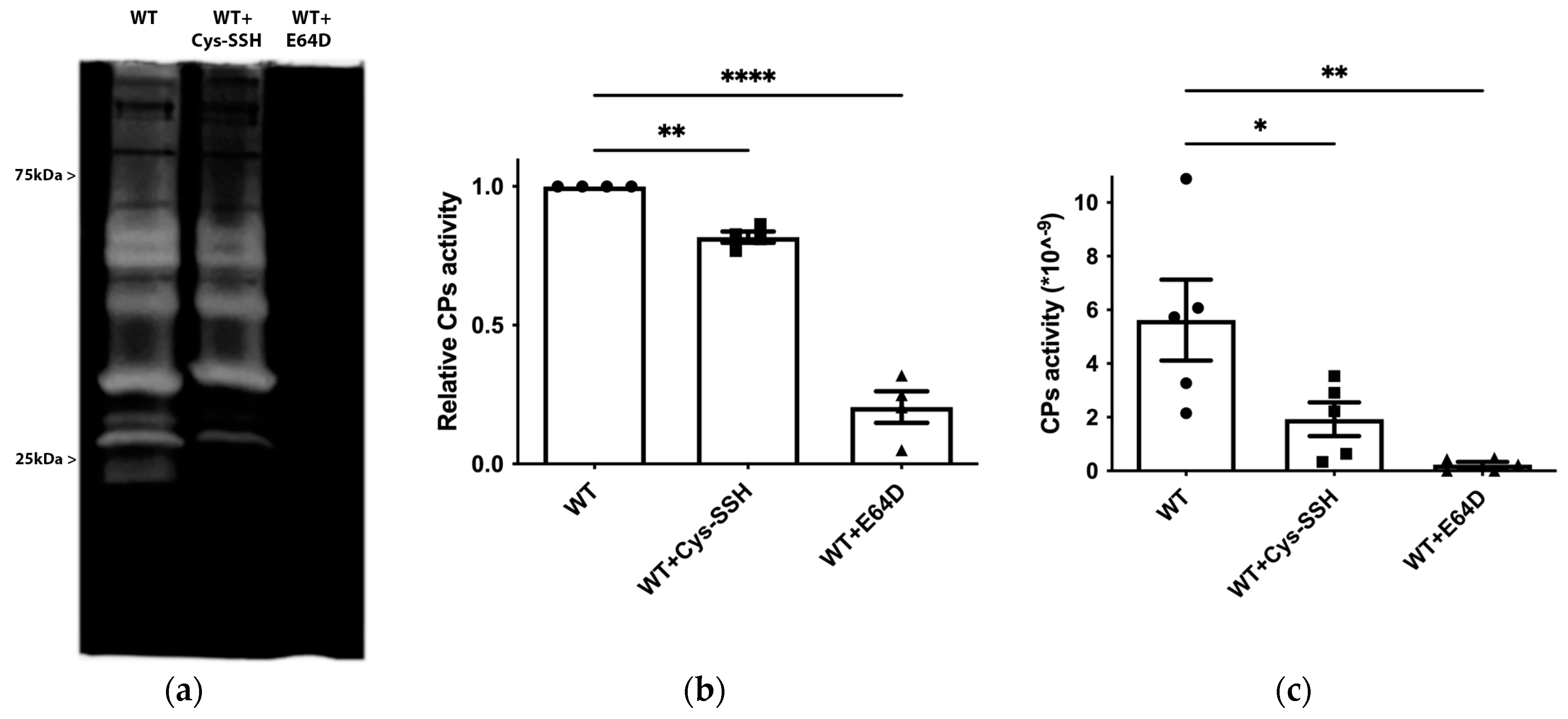 Antioxidants 13 00245 g006