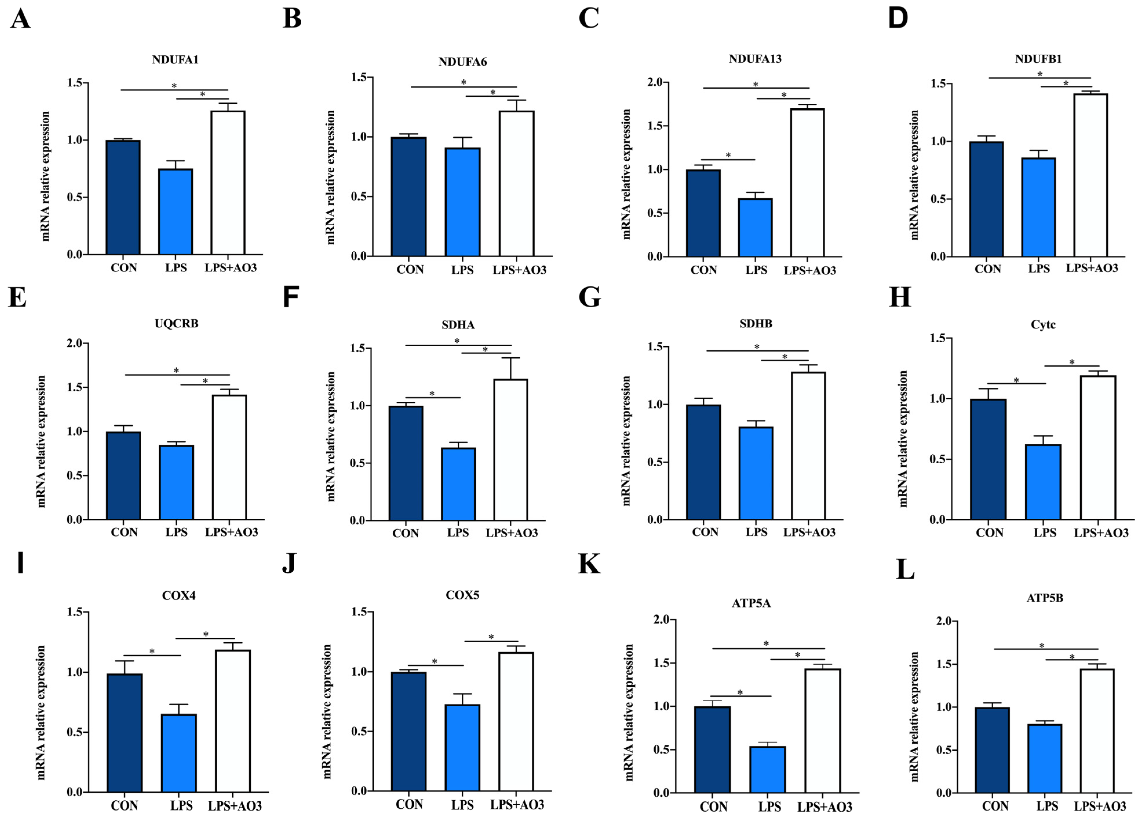 Antioxidants 13 00246 g006
