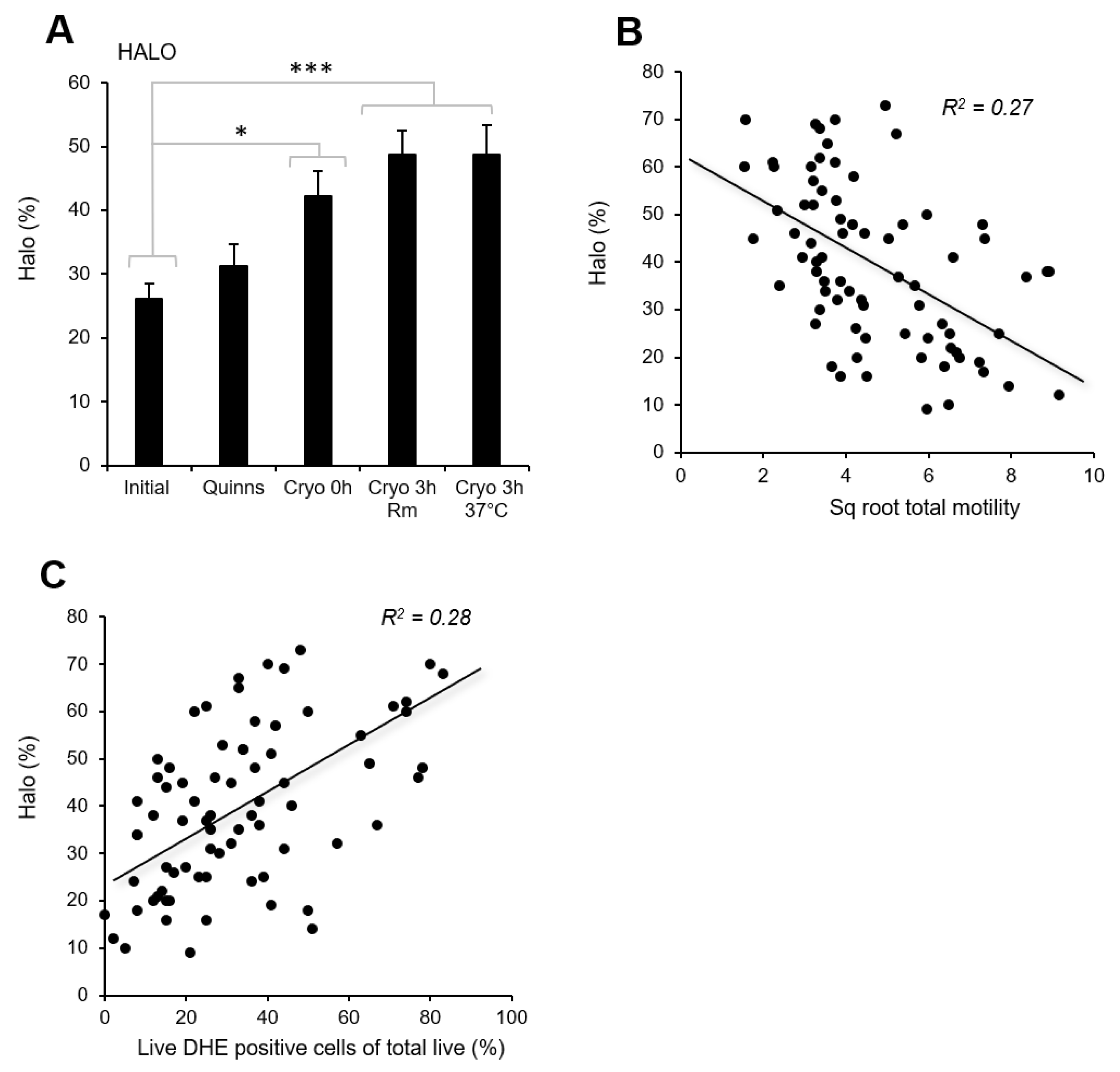 Antioxidants 13 00247 g006