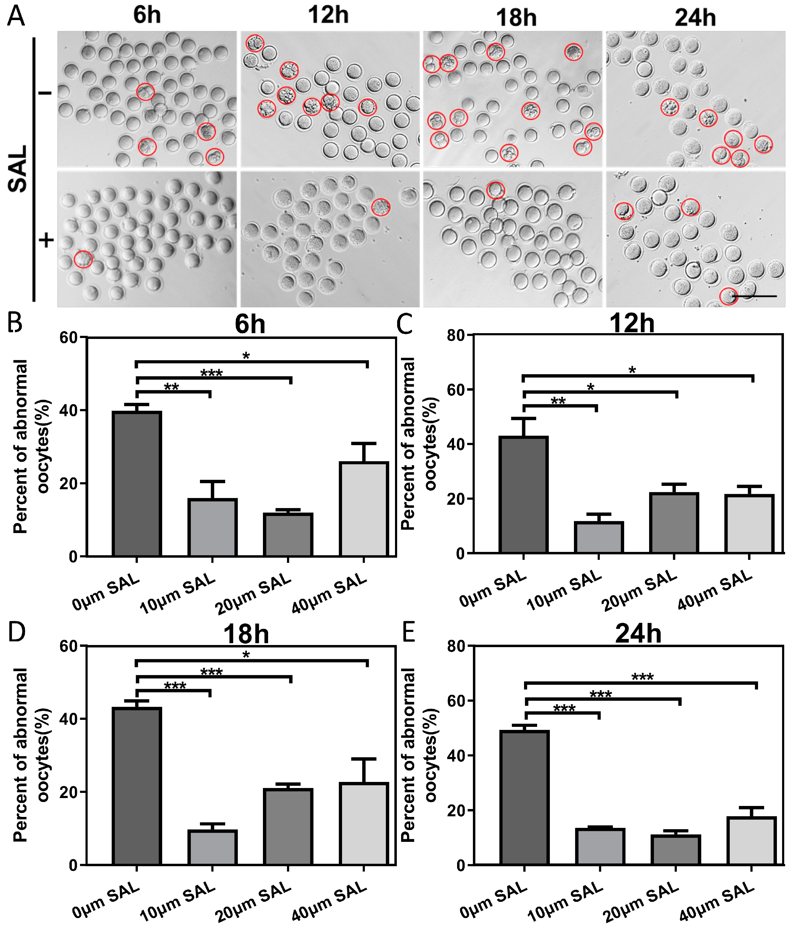 Antioxidants 13 00248 g001