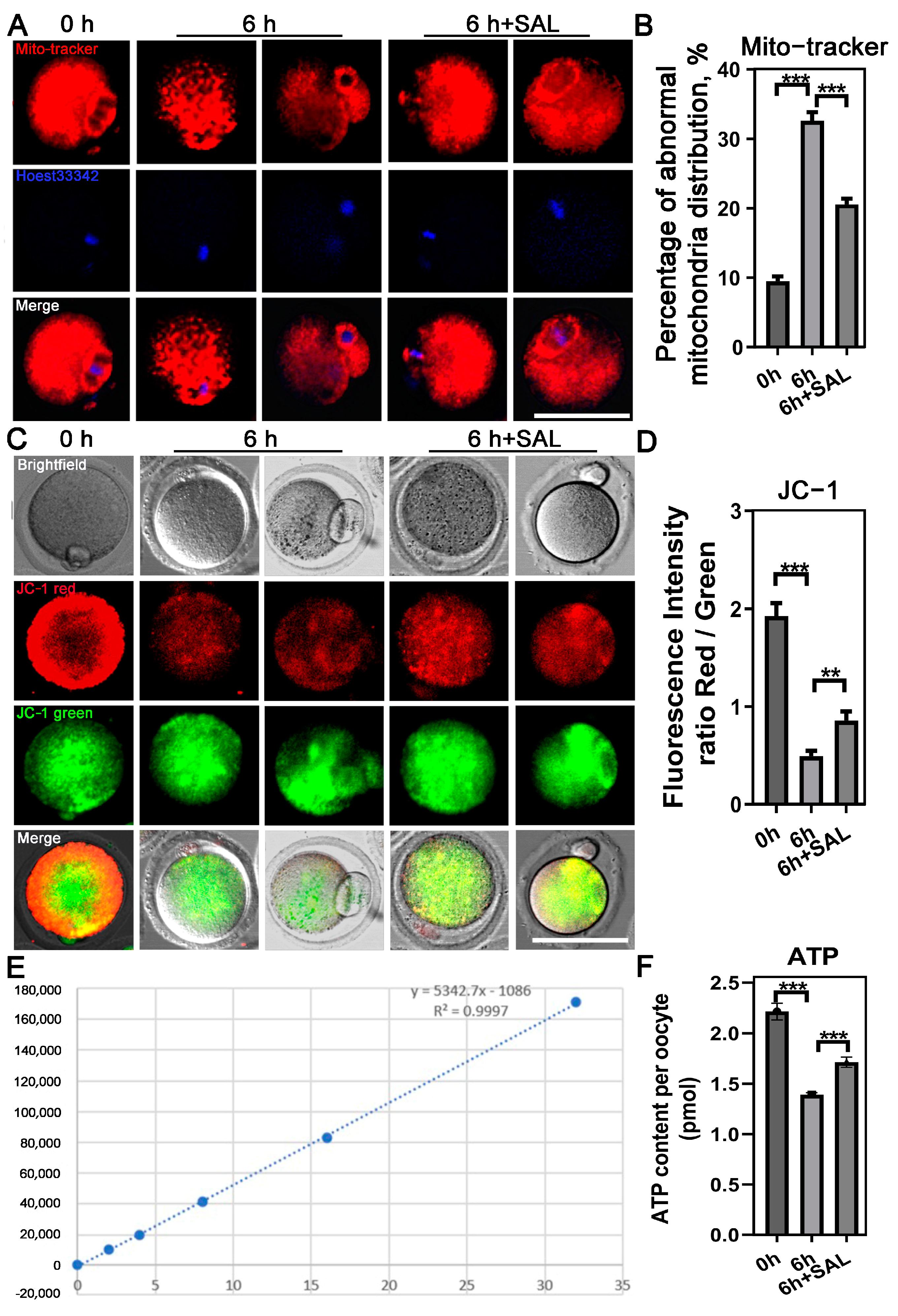 Antioxidants 13 00248 g002