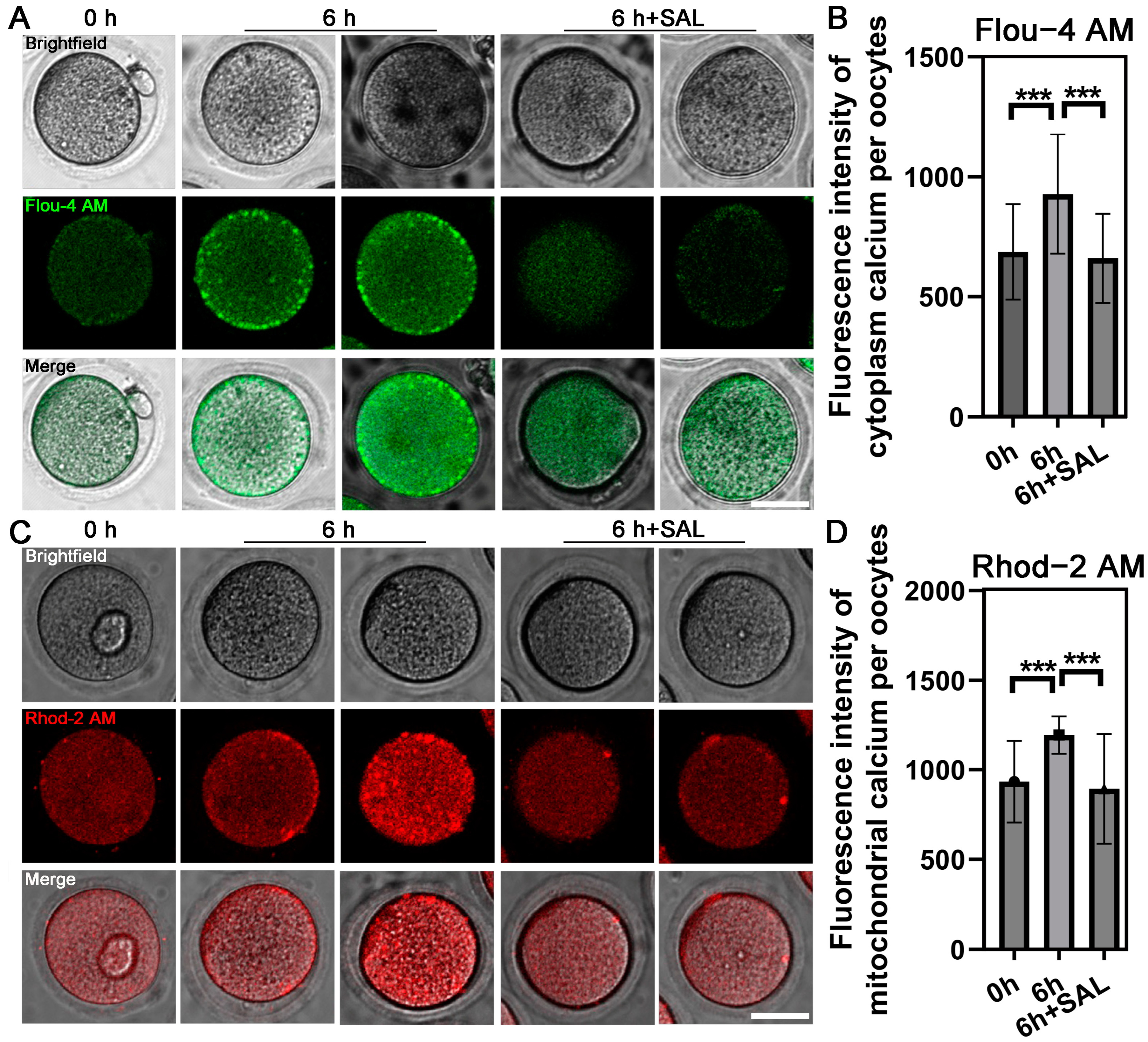Antioxidants 13 00248 g004