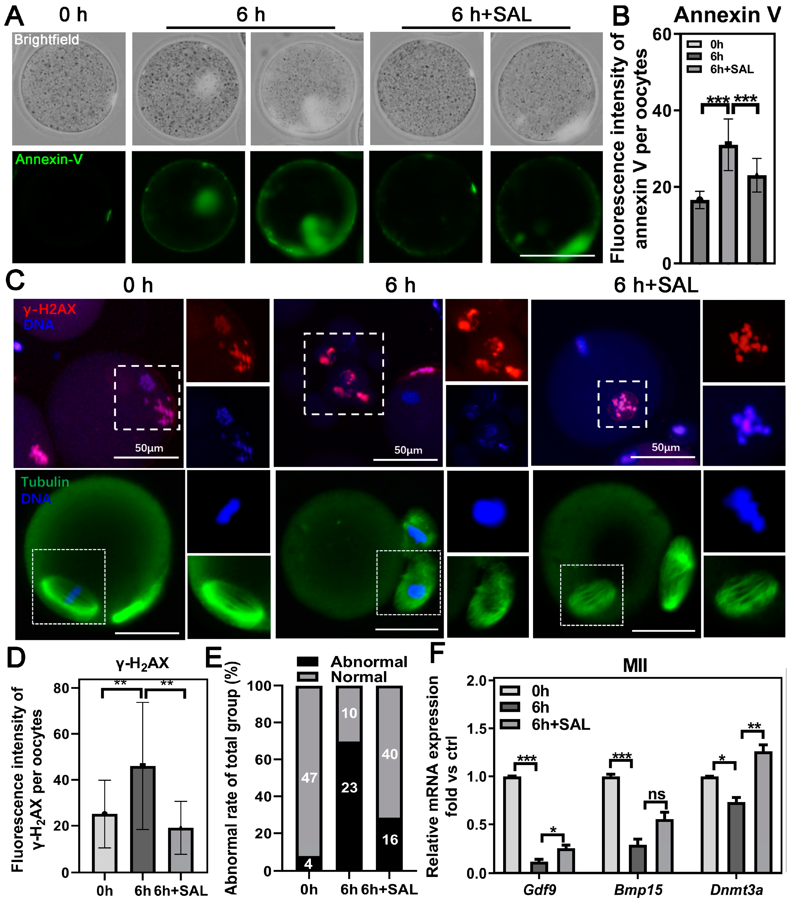 Antioxidants 13 00248 g005