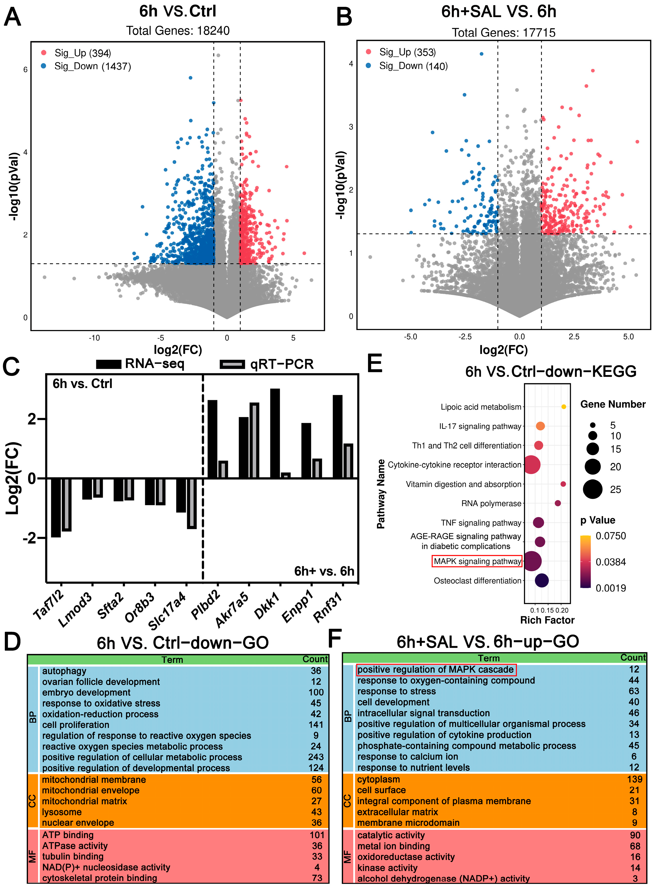 Antioxidants 13 00248 g007