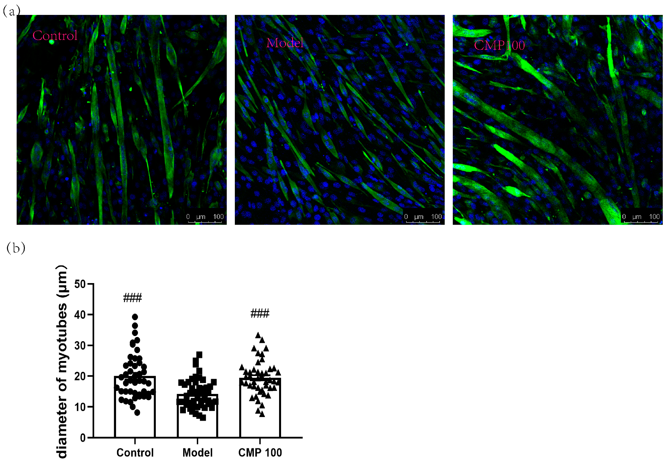 Antioxidants 13 00249 g002