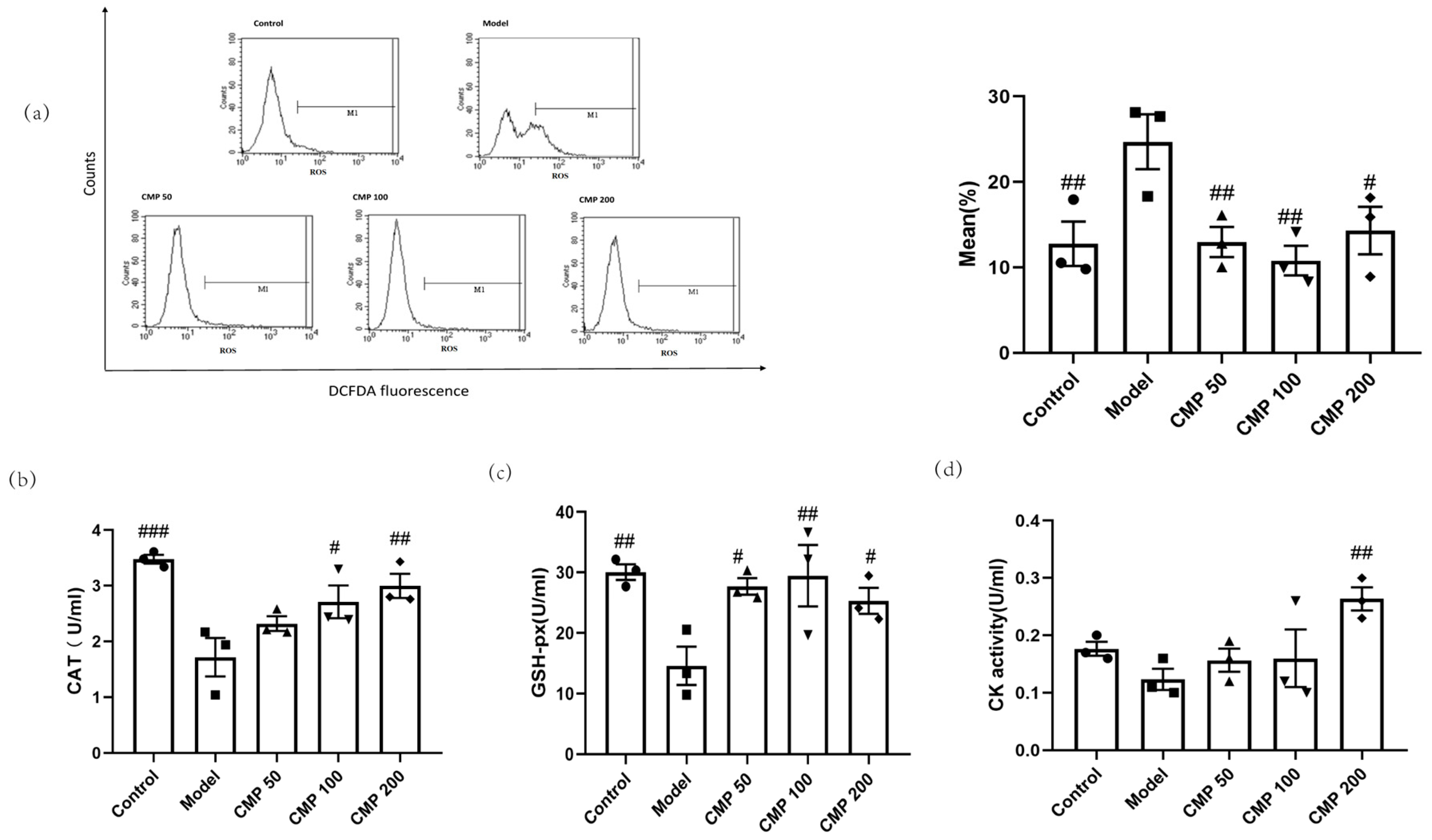 Antioxidants 13 00249 g004