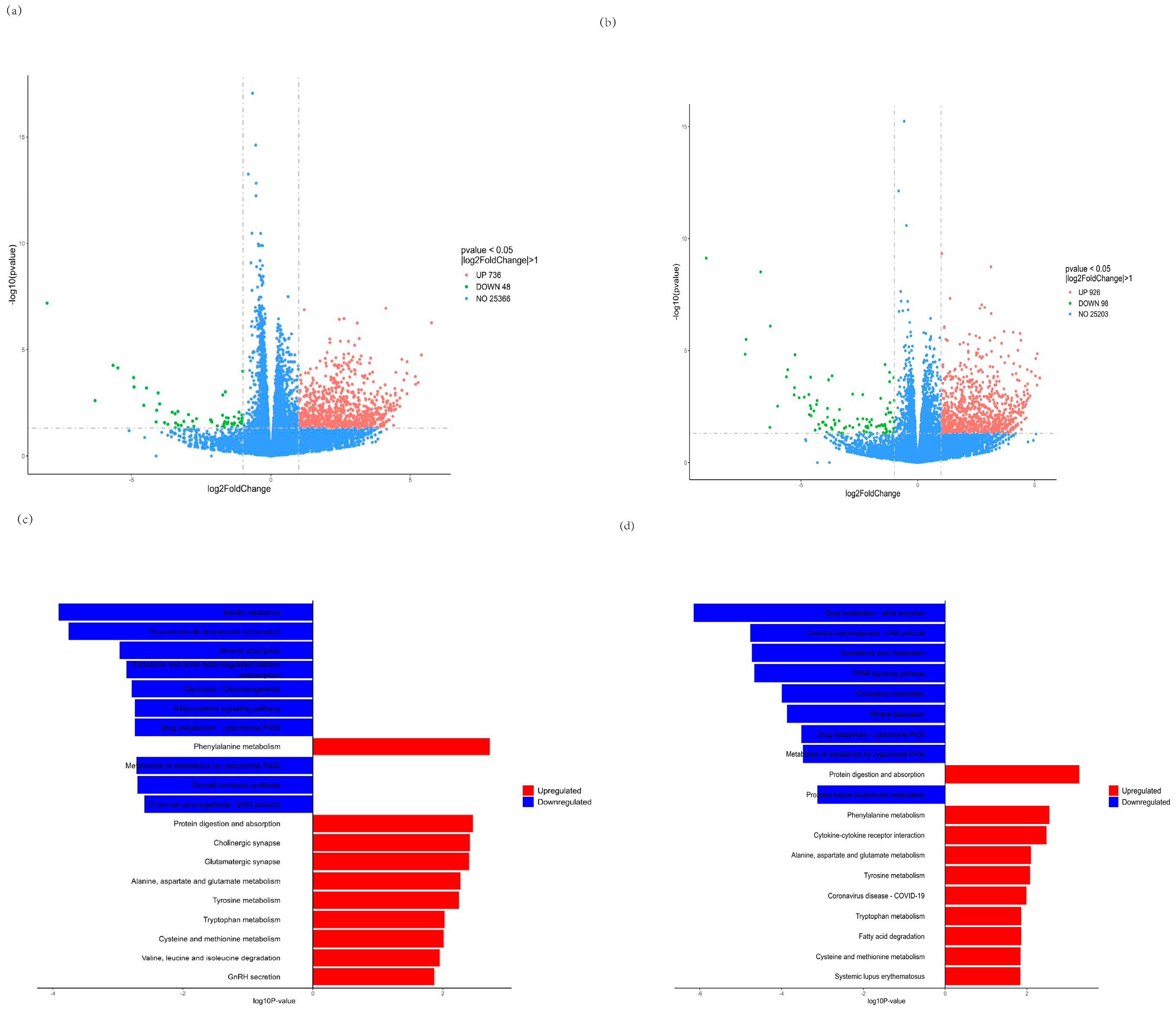 Antioxidants 13 00249 g006