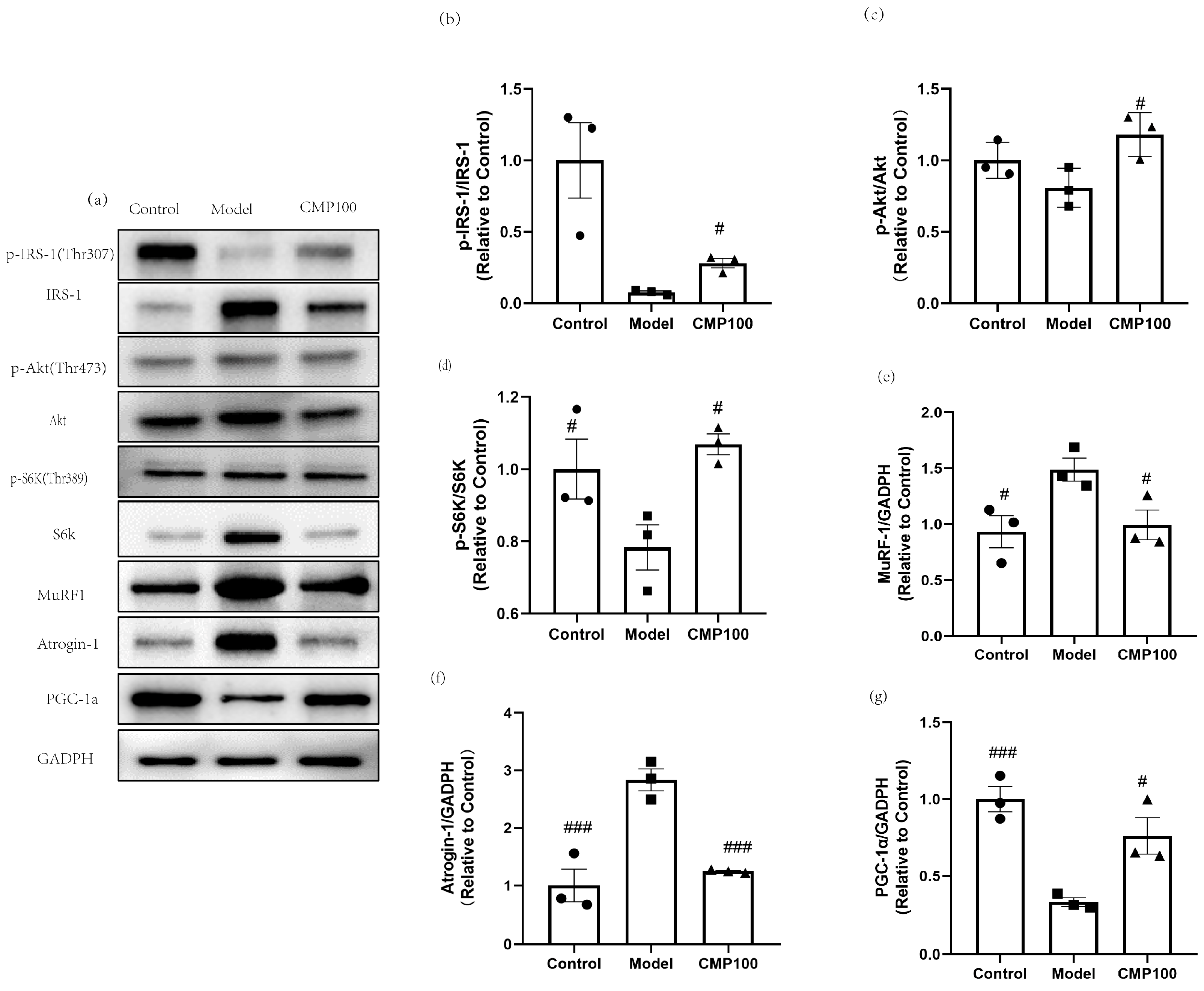 Antioxidants 13 00249 g007