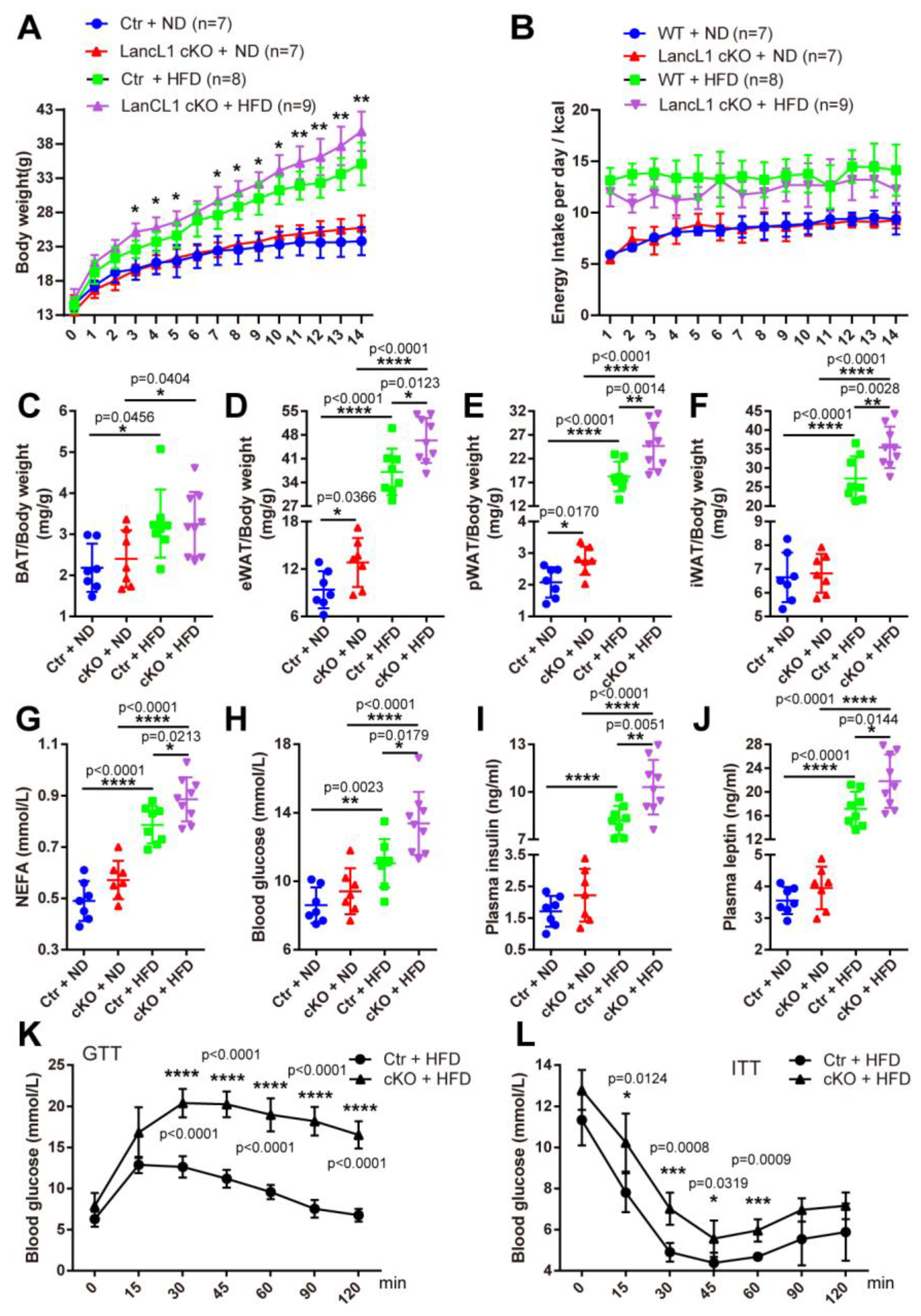 Antioxidants 13 00252 g003
