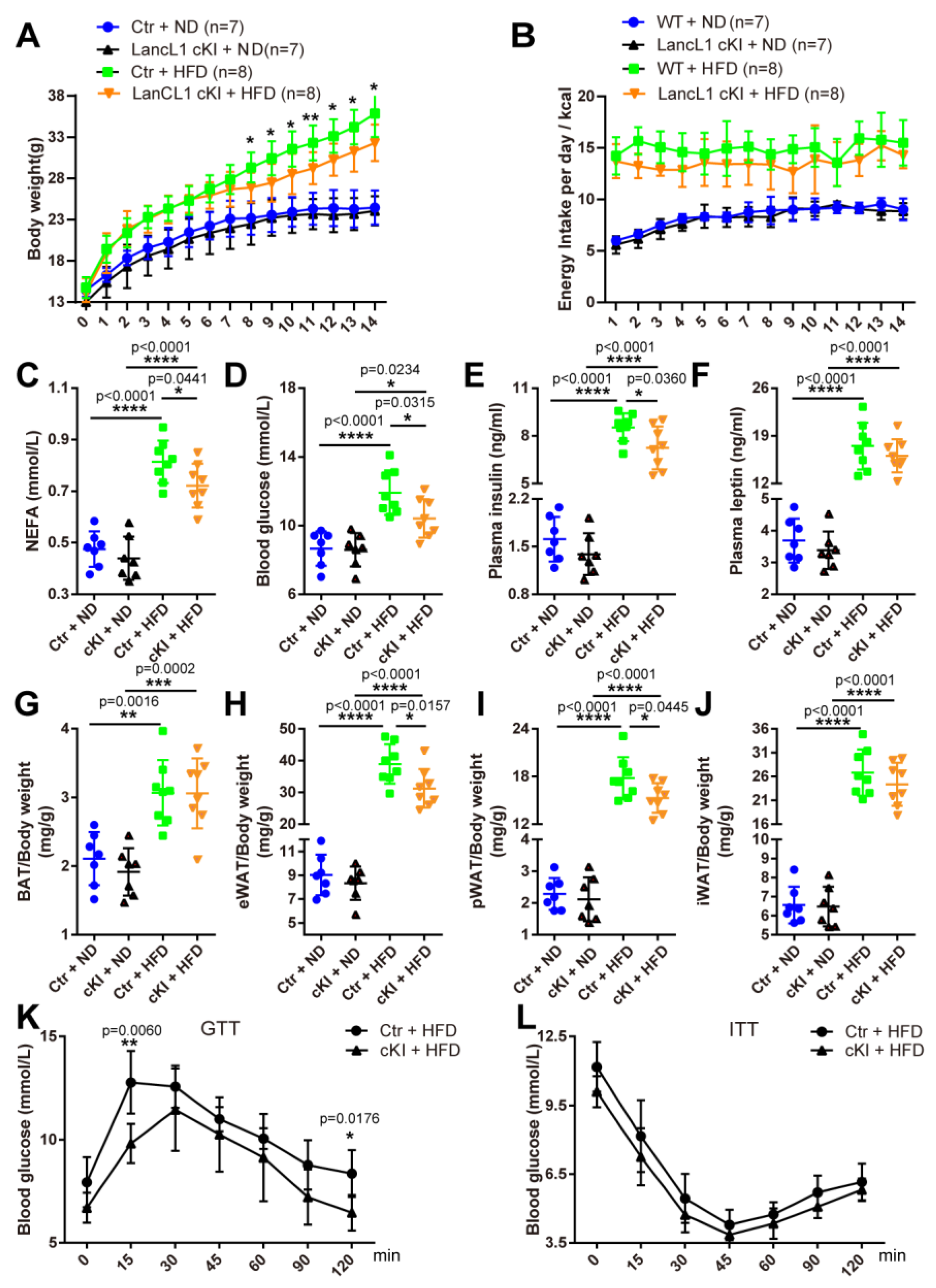 Antioxidants 13 00252 g004