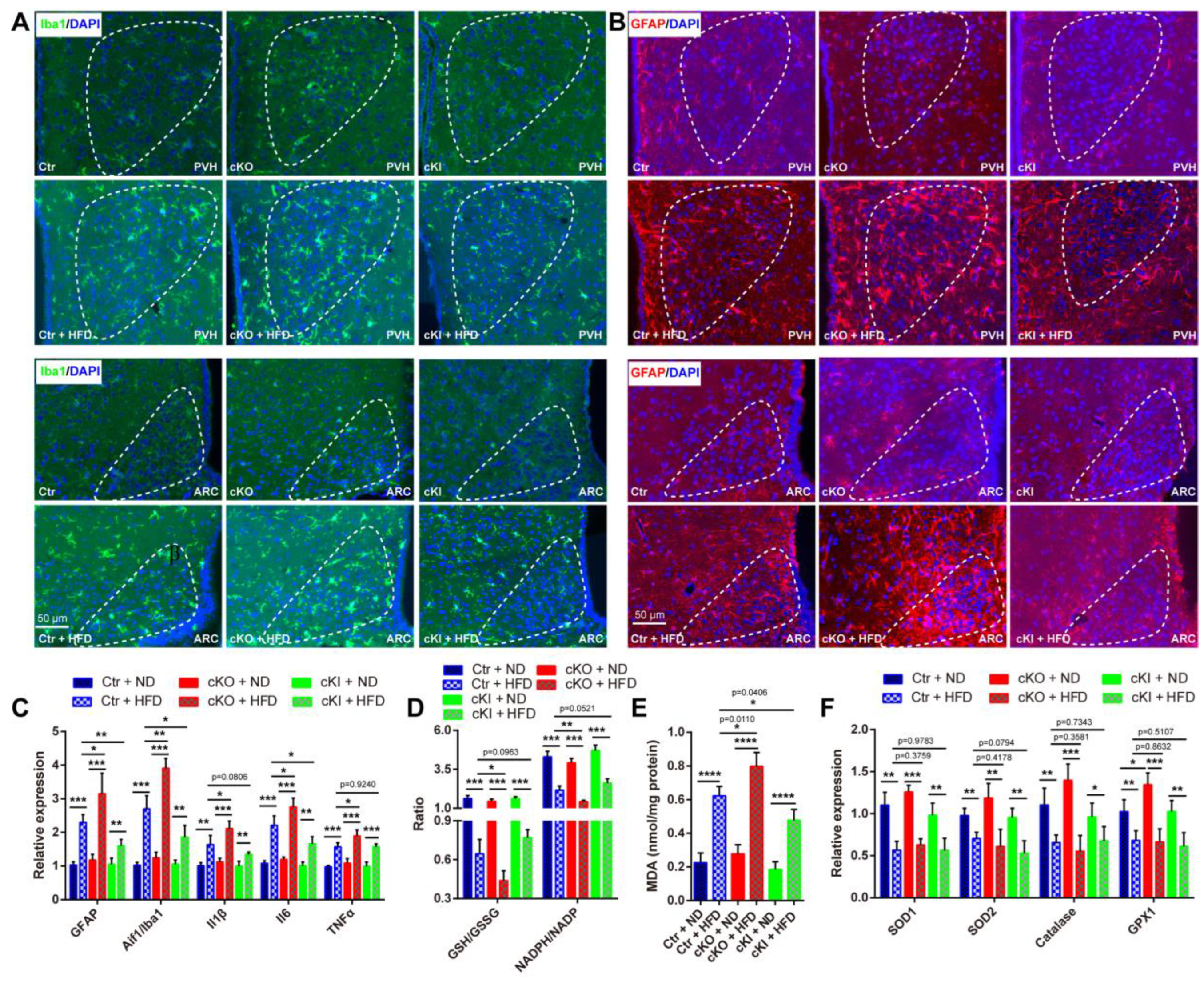 Antioxidants 13 00252 g005