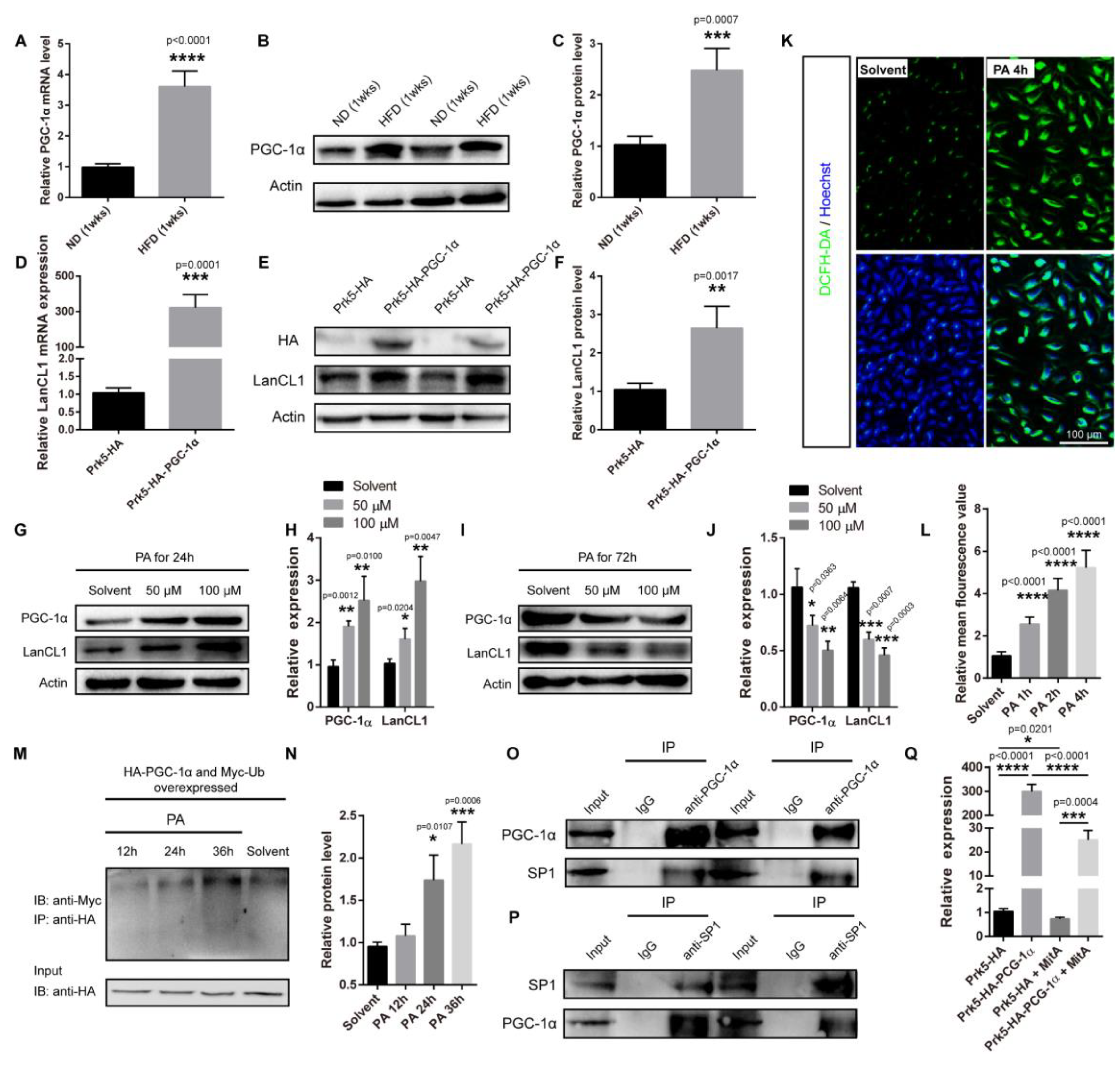 Antioxidants 13 00252 g006