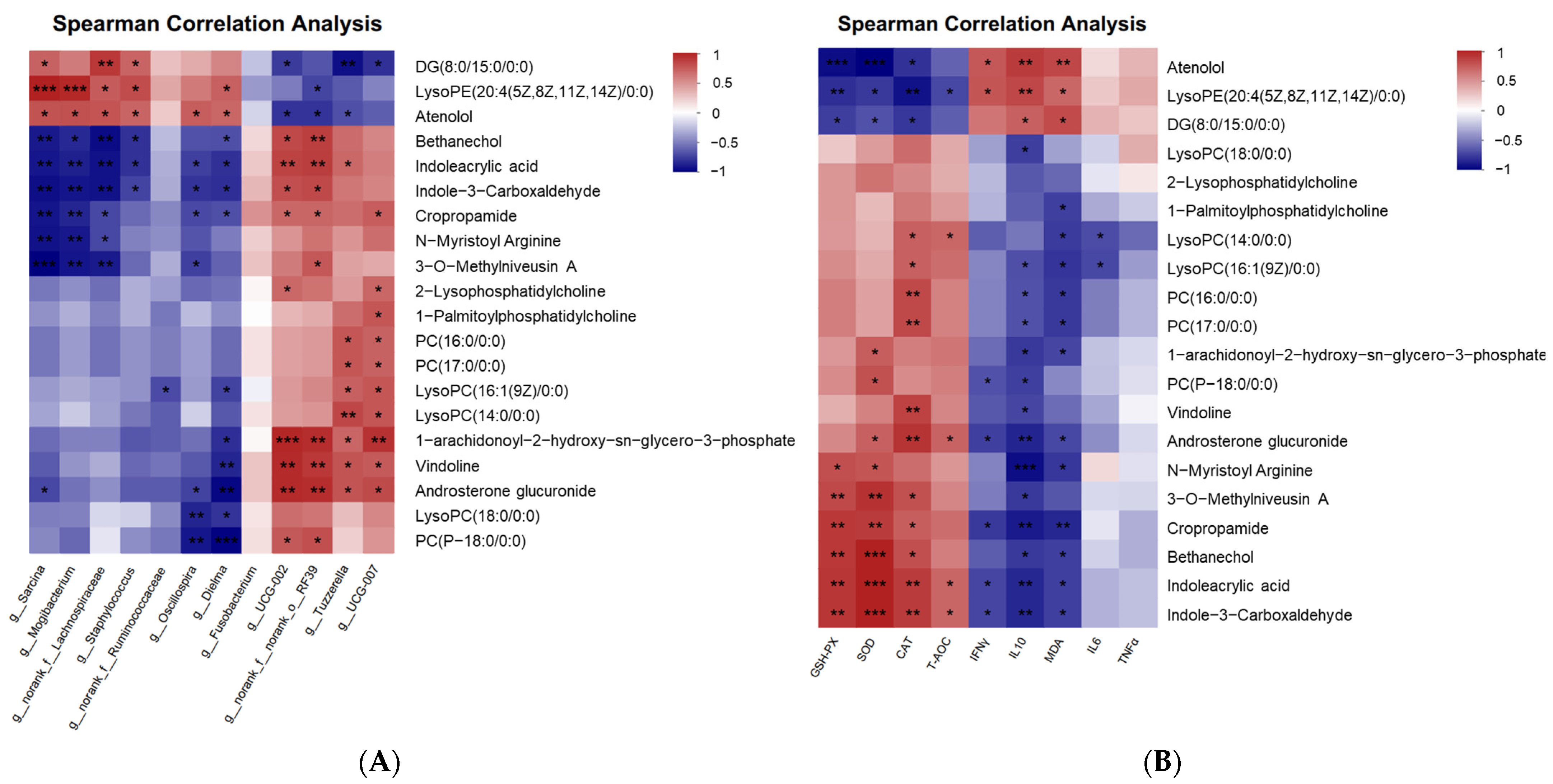 Antioxidants 13 00253 g006