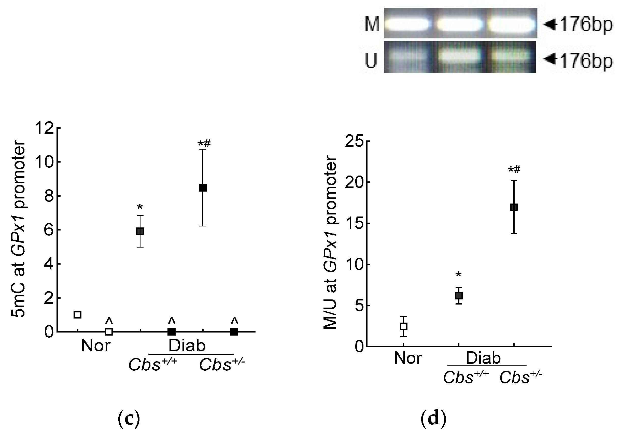 Antioxidants 13 00254 g007b