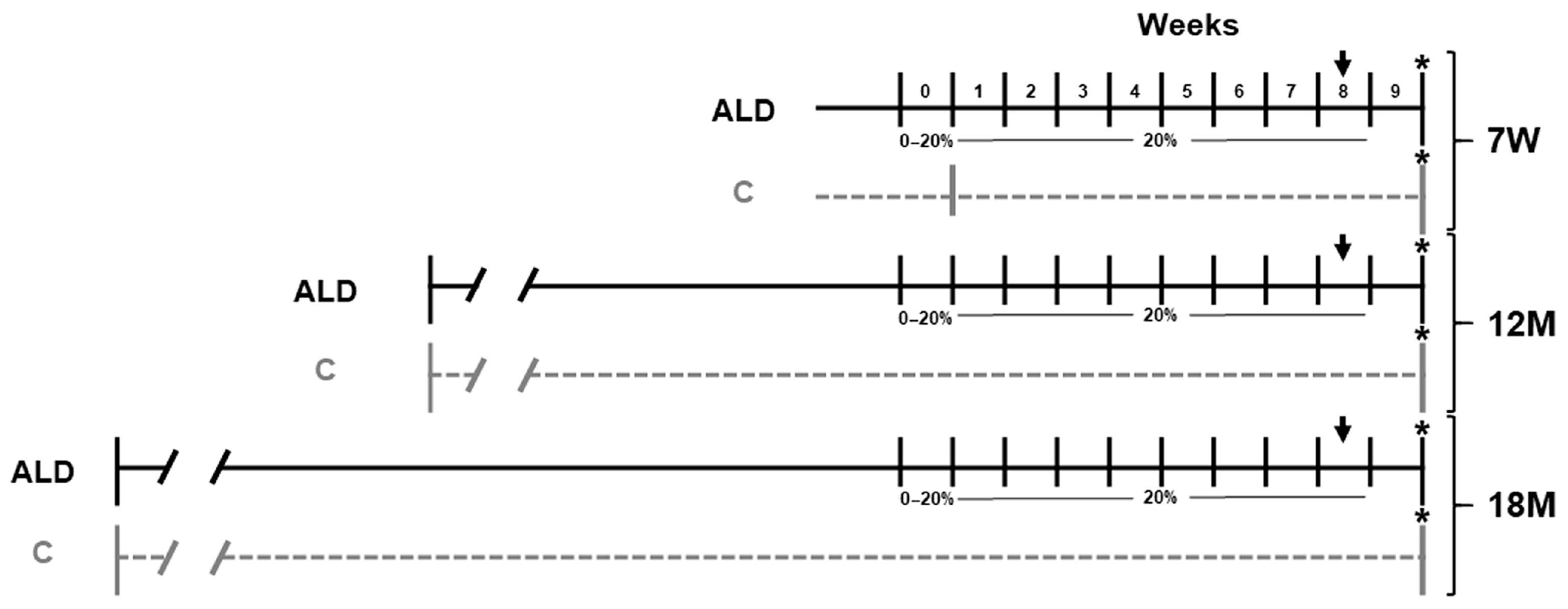 Antioxidants 13 00257 g001
