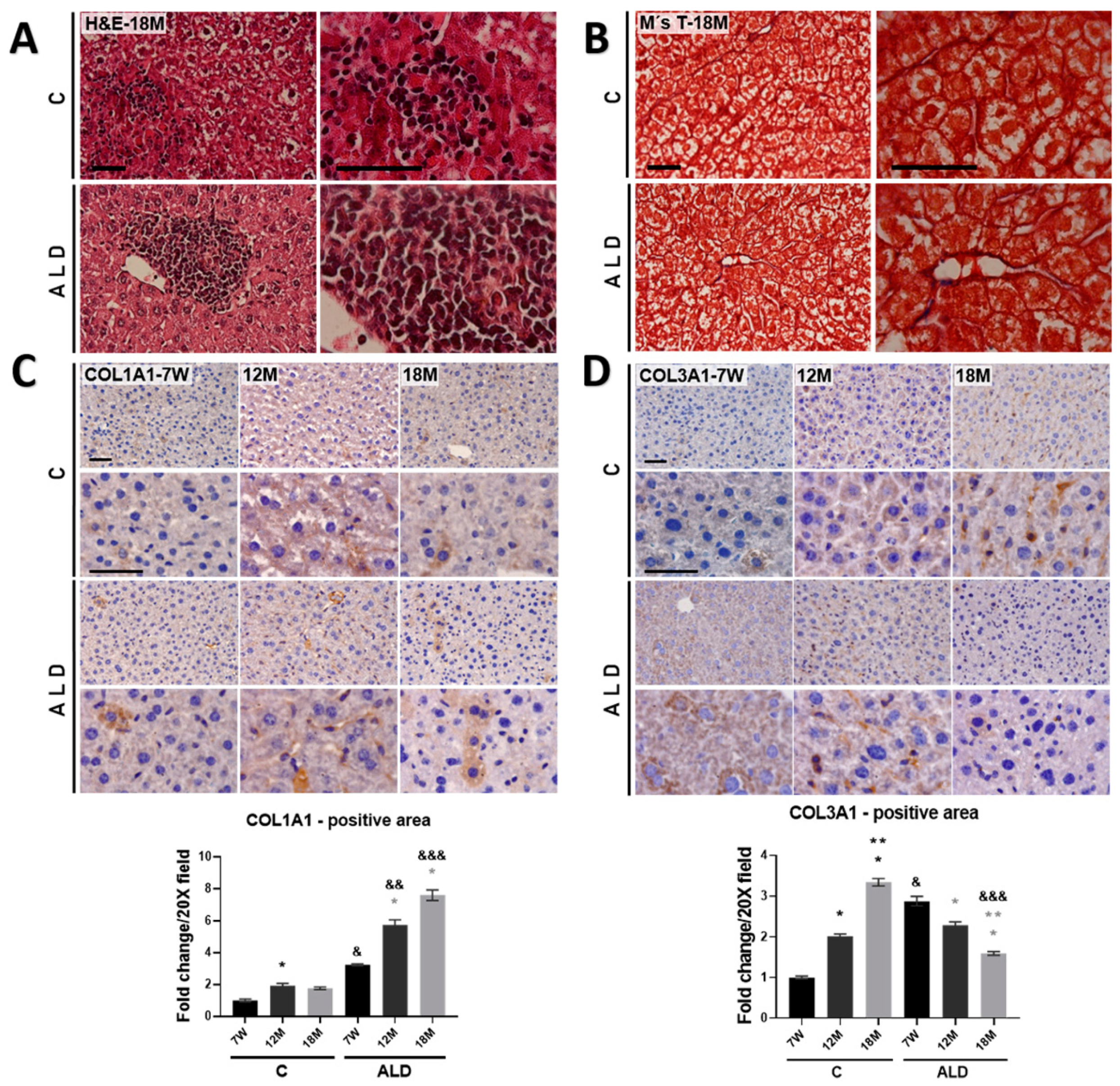 Antioxidants 13 00257 g002