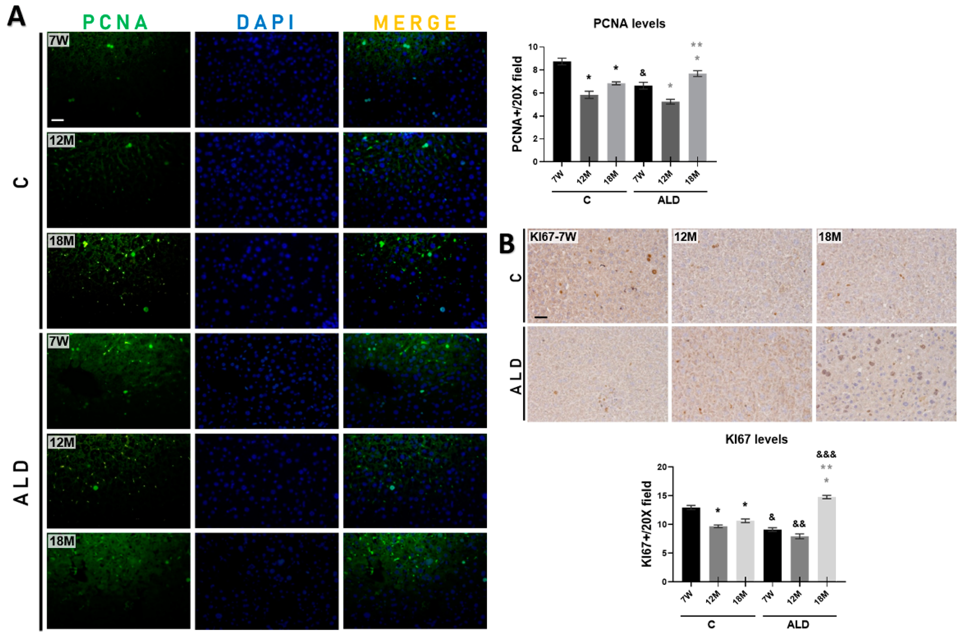 Antioxidants 13 00257 g003