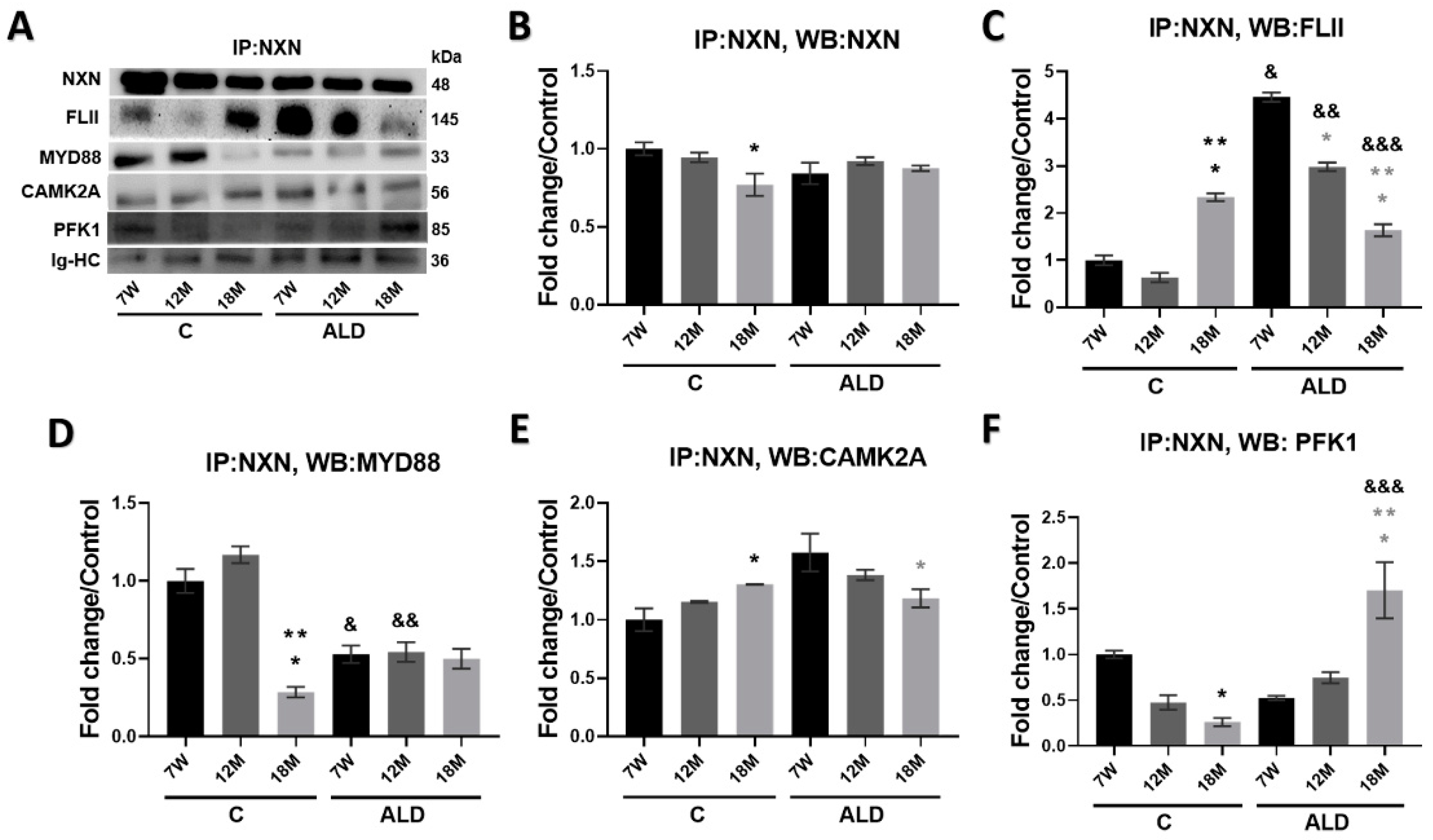Antioxidants 13 00257 g007
