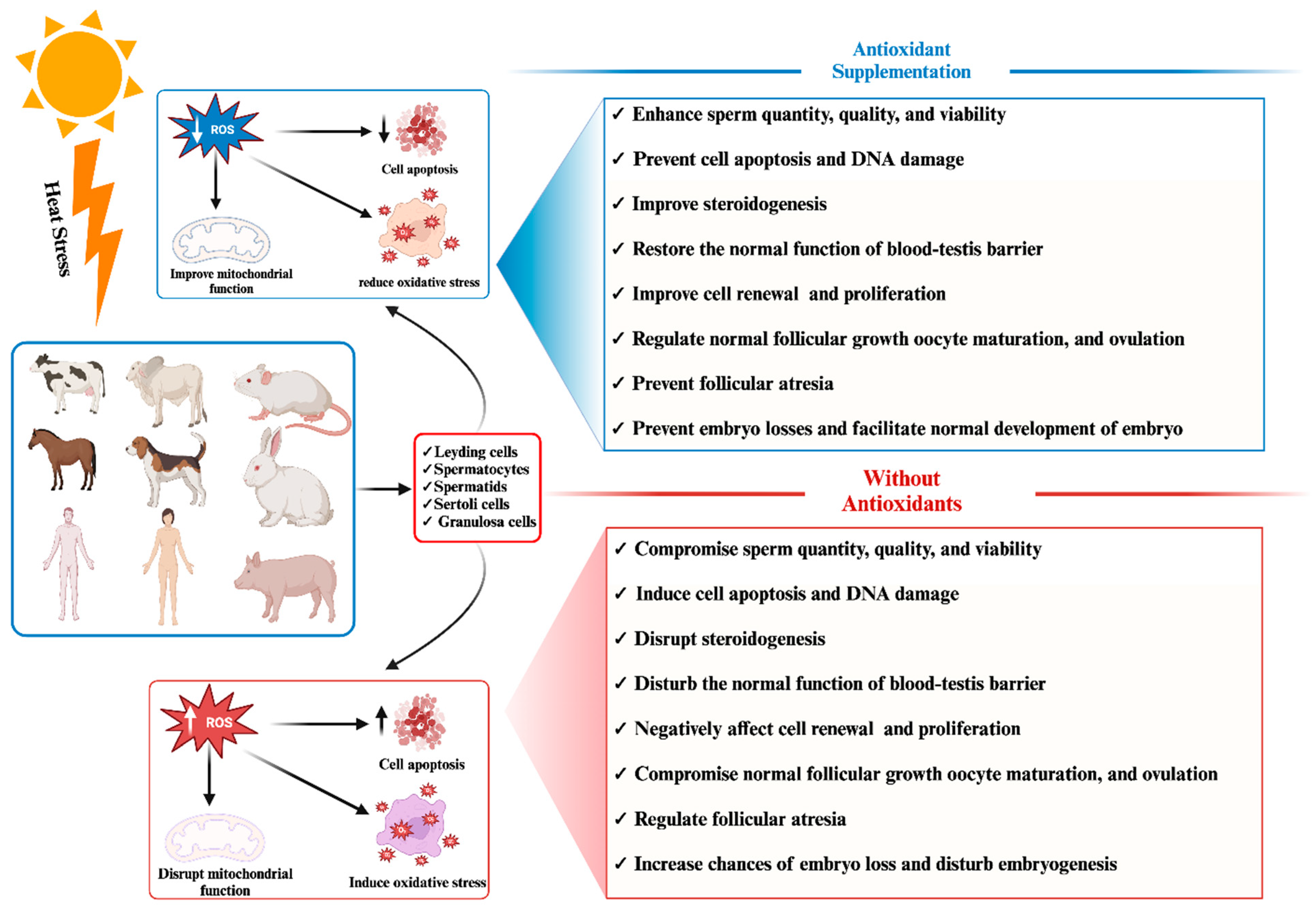 Antioxidants 13 00258 g001