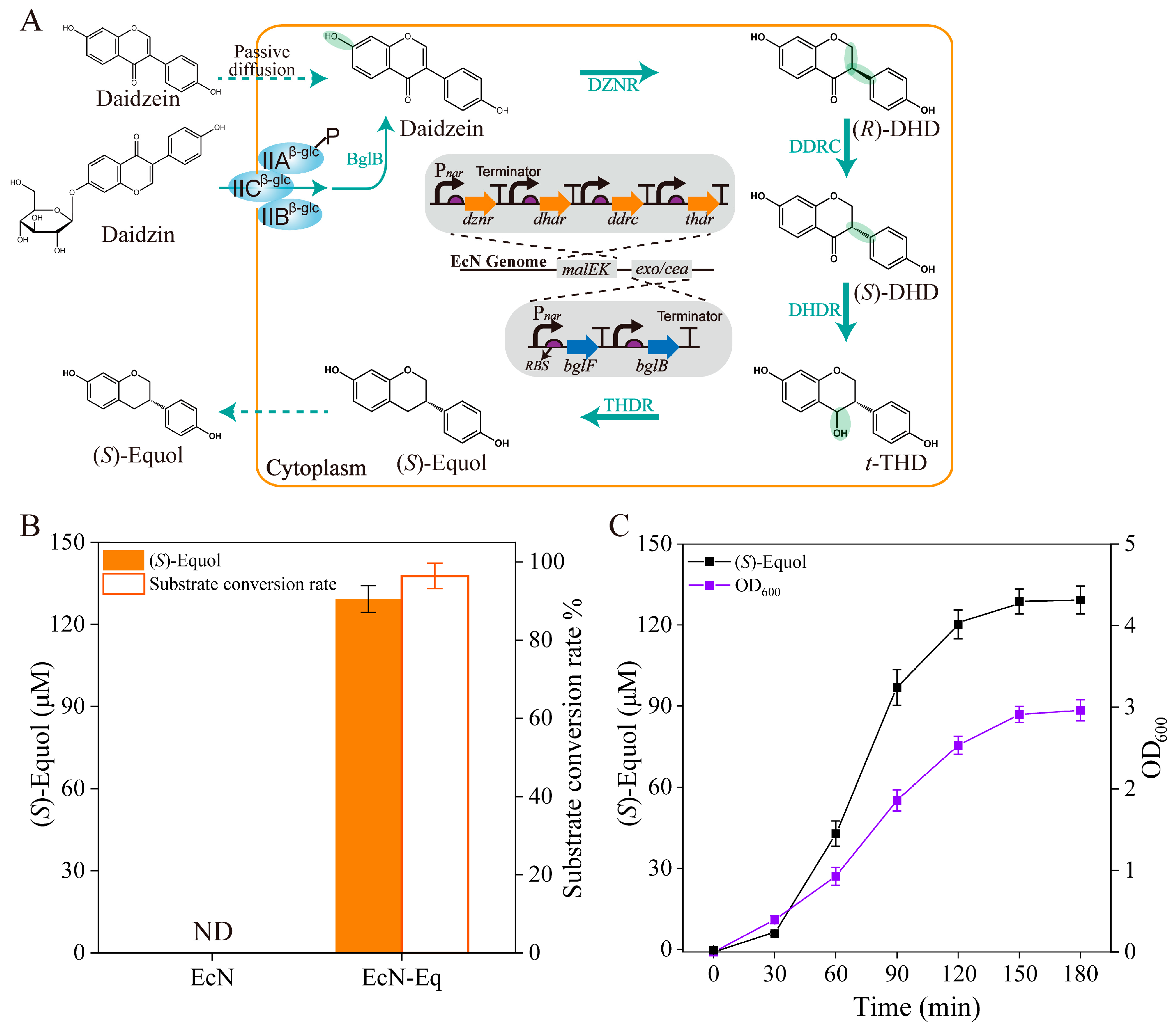 Antioxidants 13 00259 g001