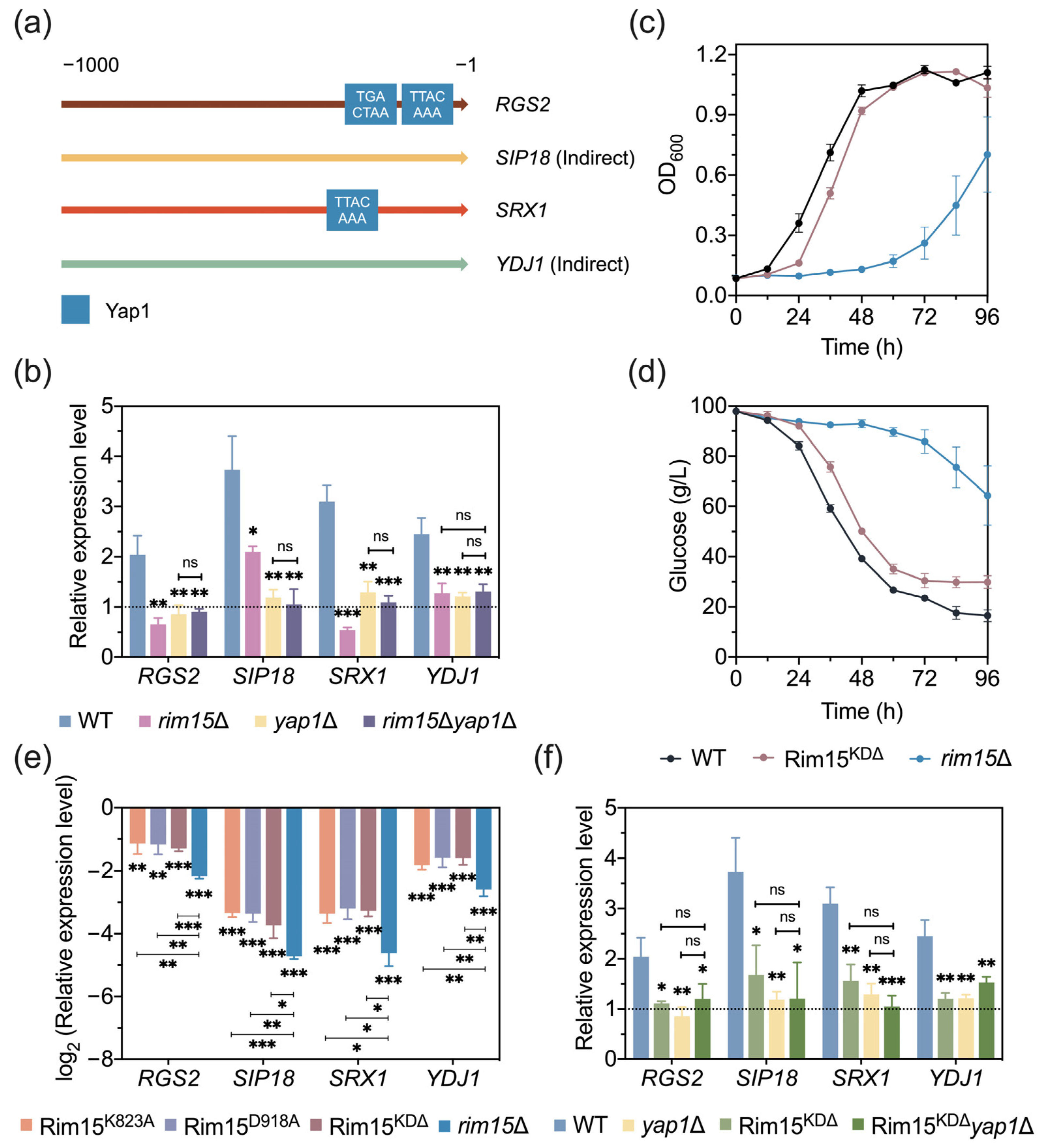 Antioxidants 13 00260 g004