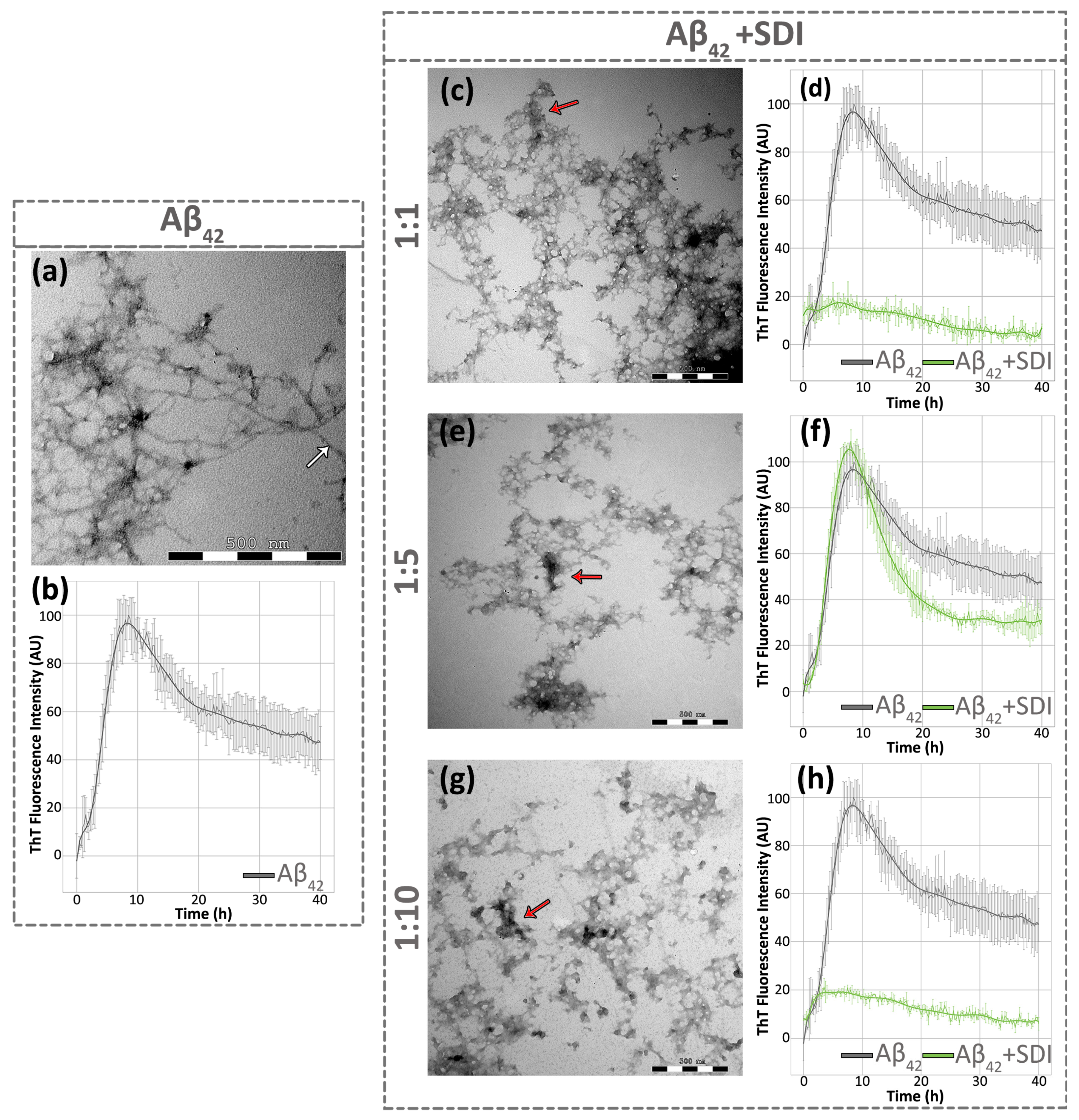 Antioxidants 13 00261 g006