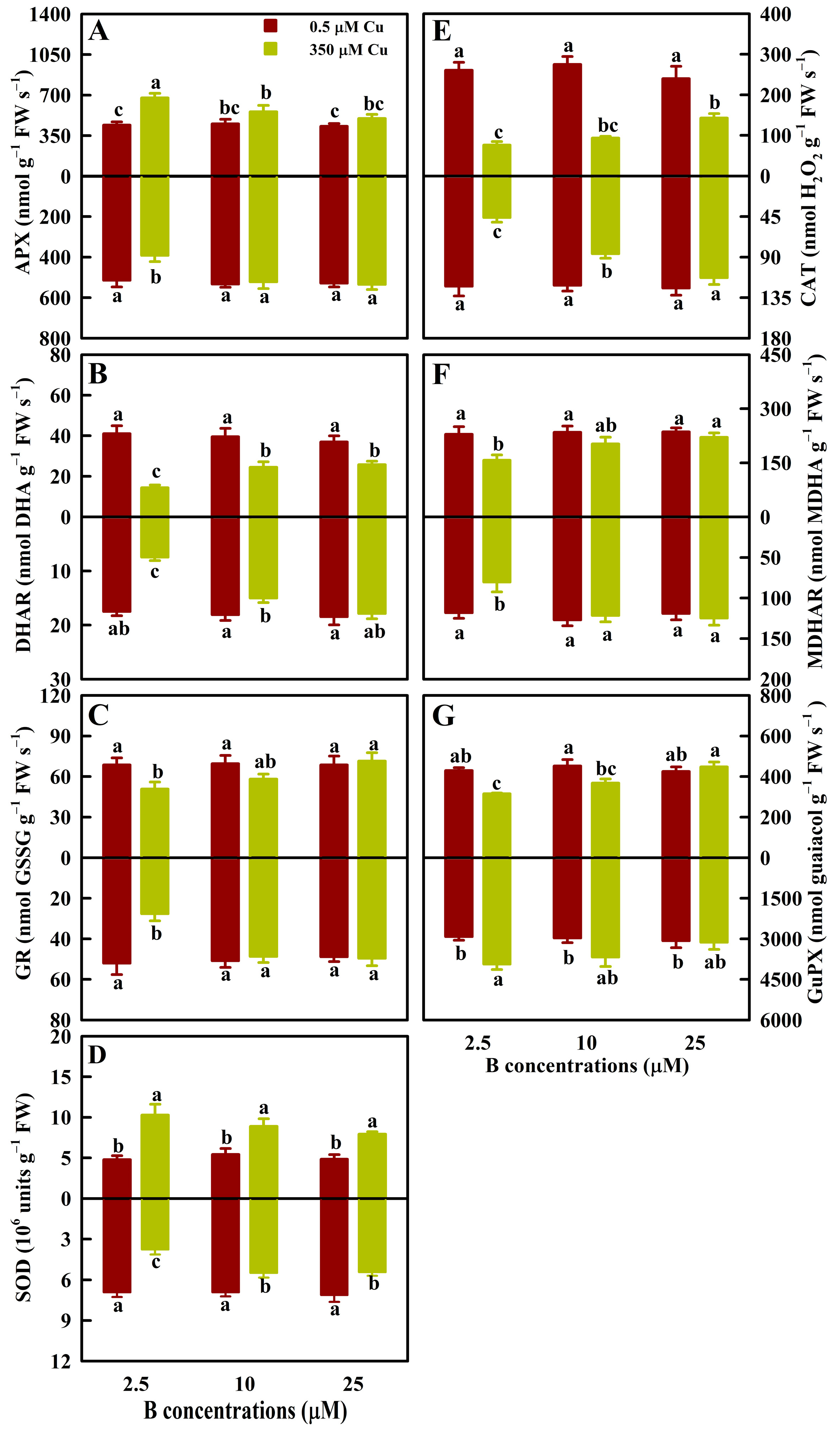 Antioxidants 13 00268 g002