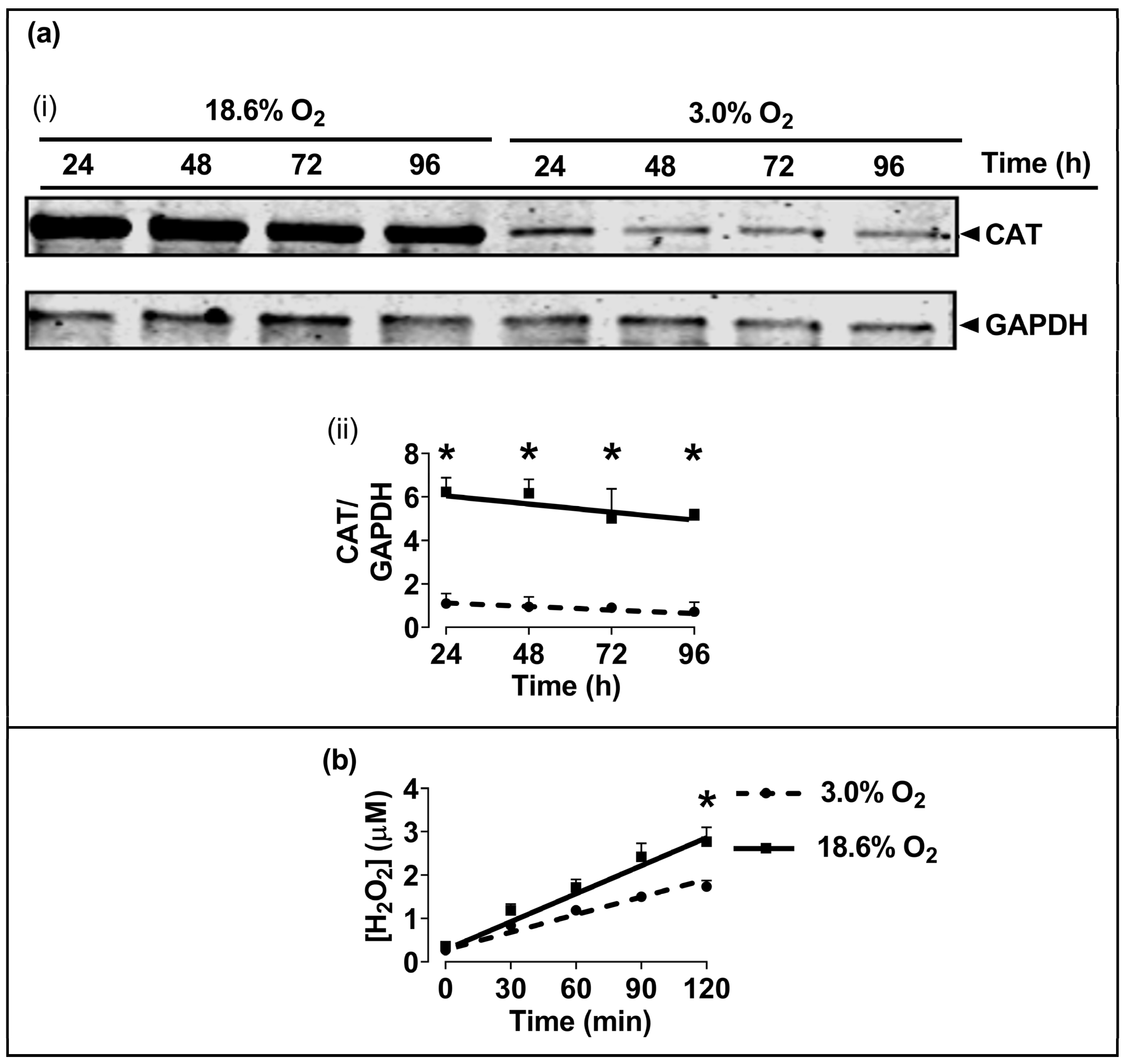 Antioxidants 13 00269 g005