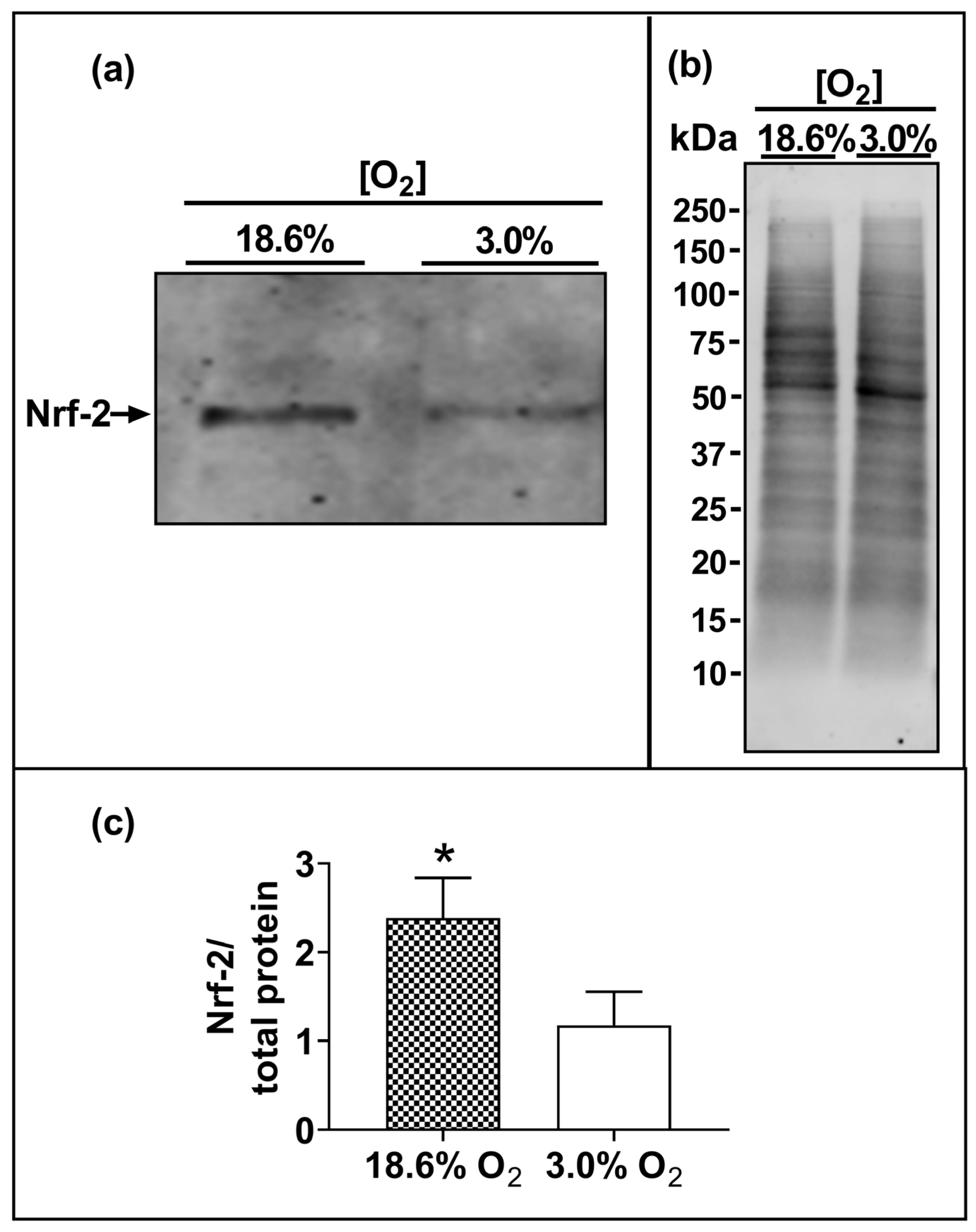 Antioxidants 13 00269 g006