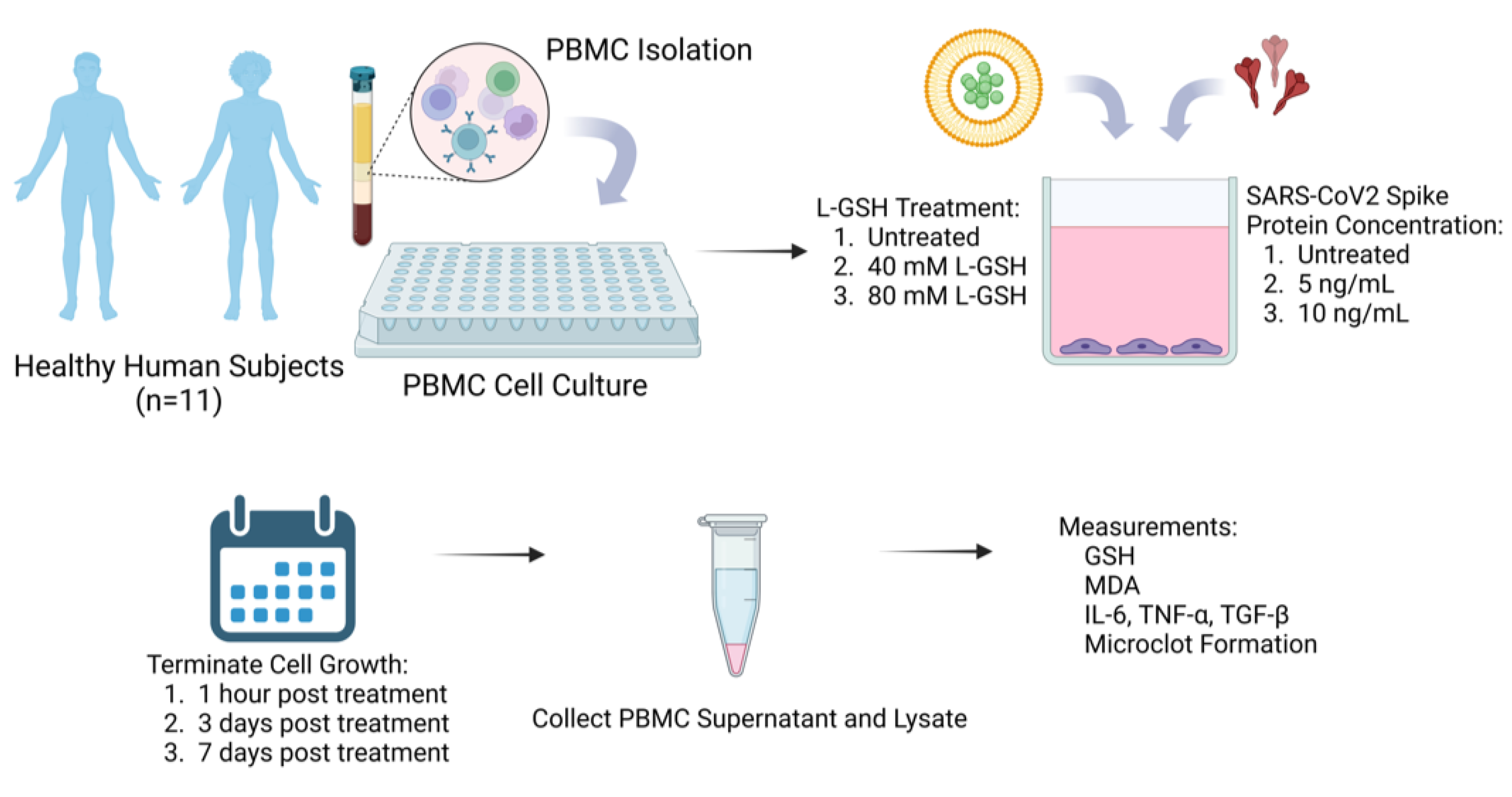 Antioxidants 13 00271 g001