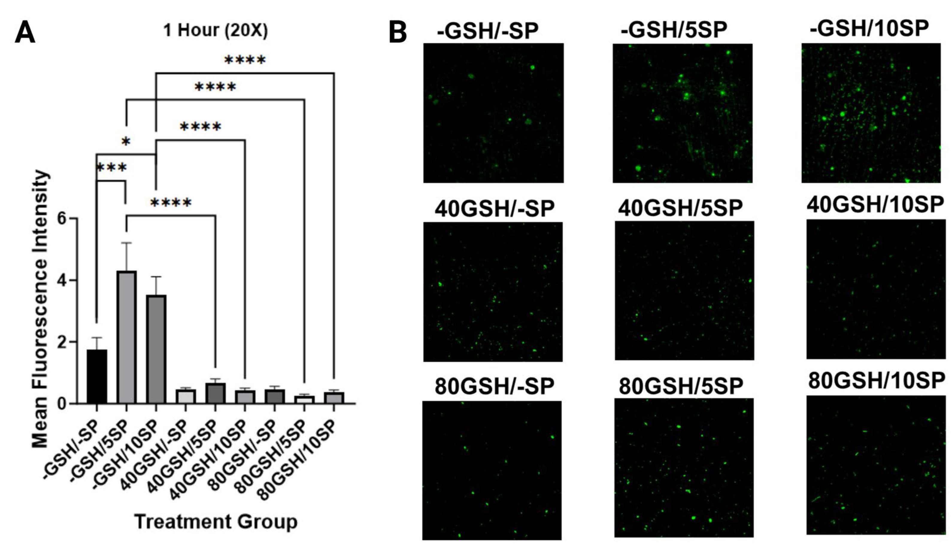 Antioxidants 13 00271 g007