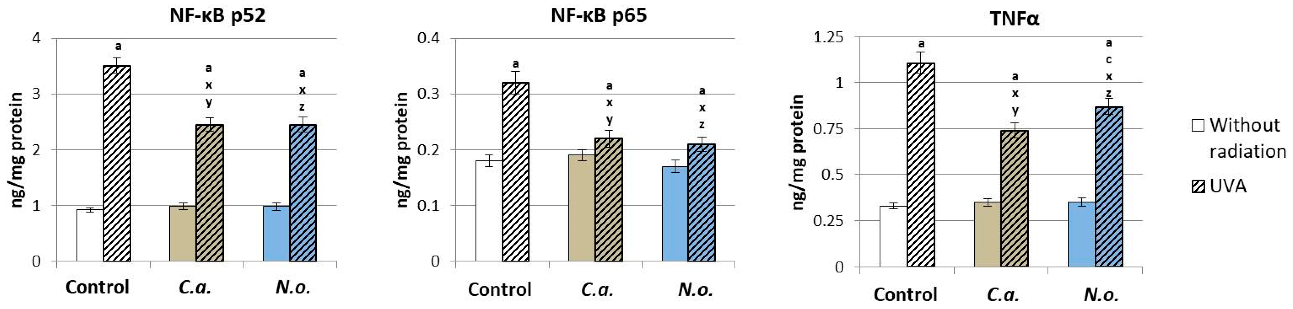 Antioxidants 13 00276 g011