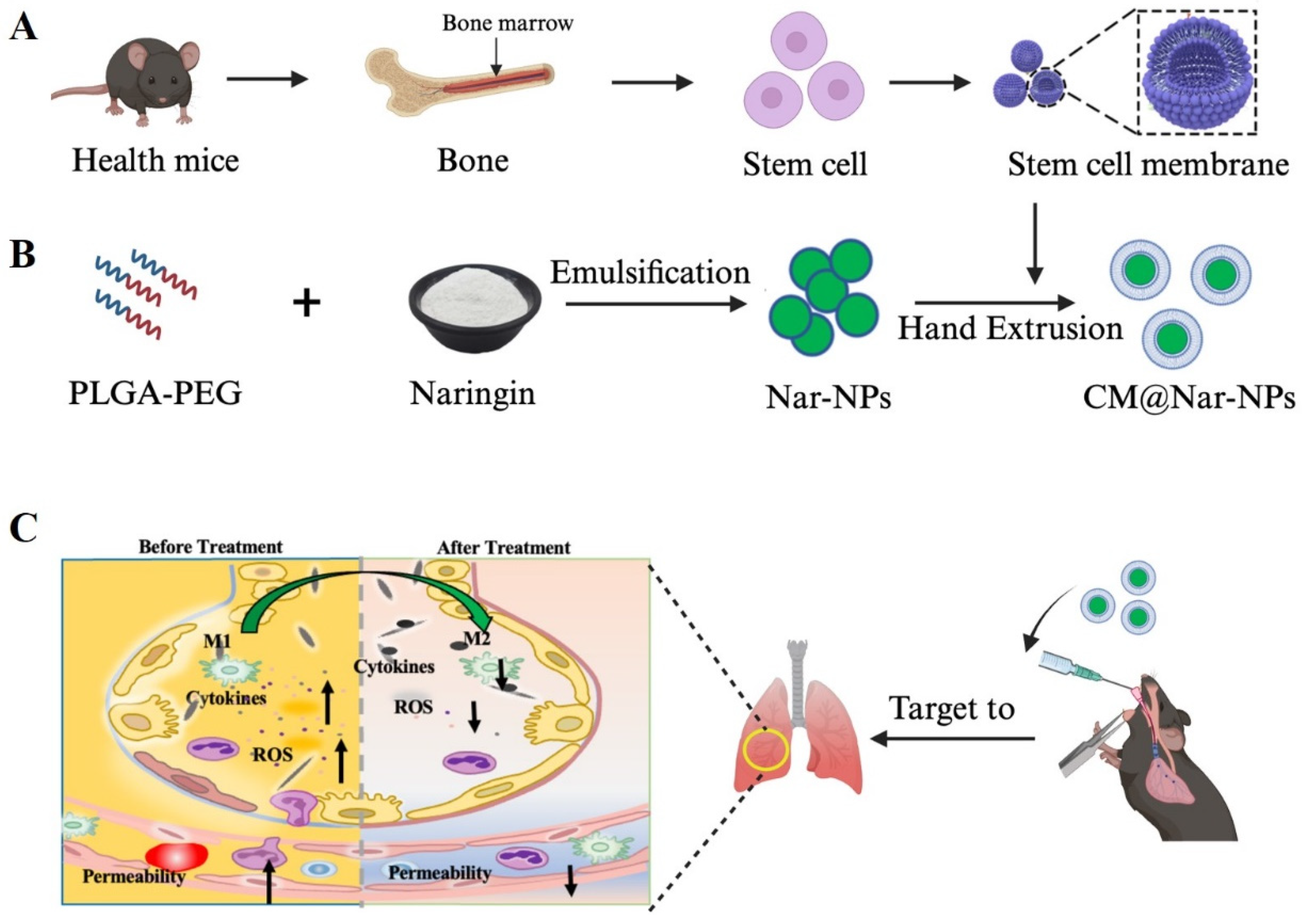Antioxidants 13 00282 g001