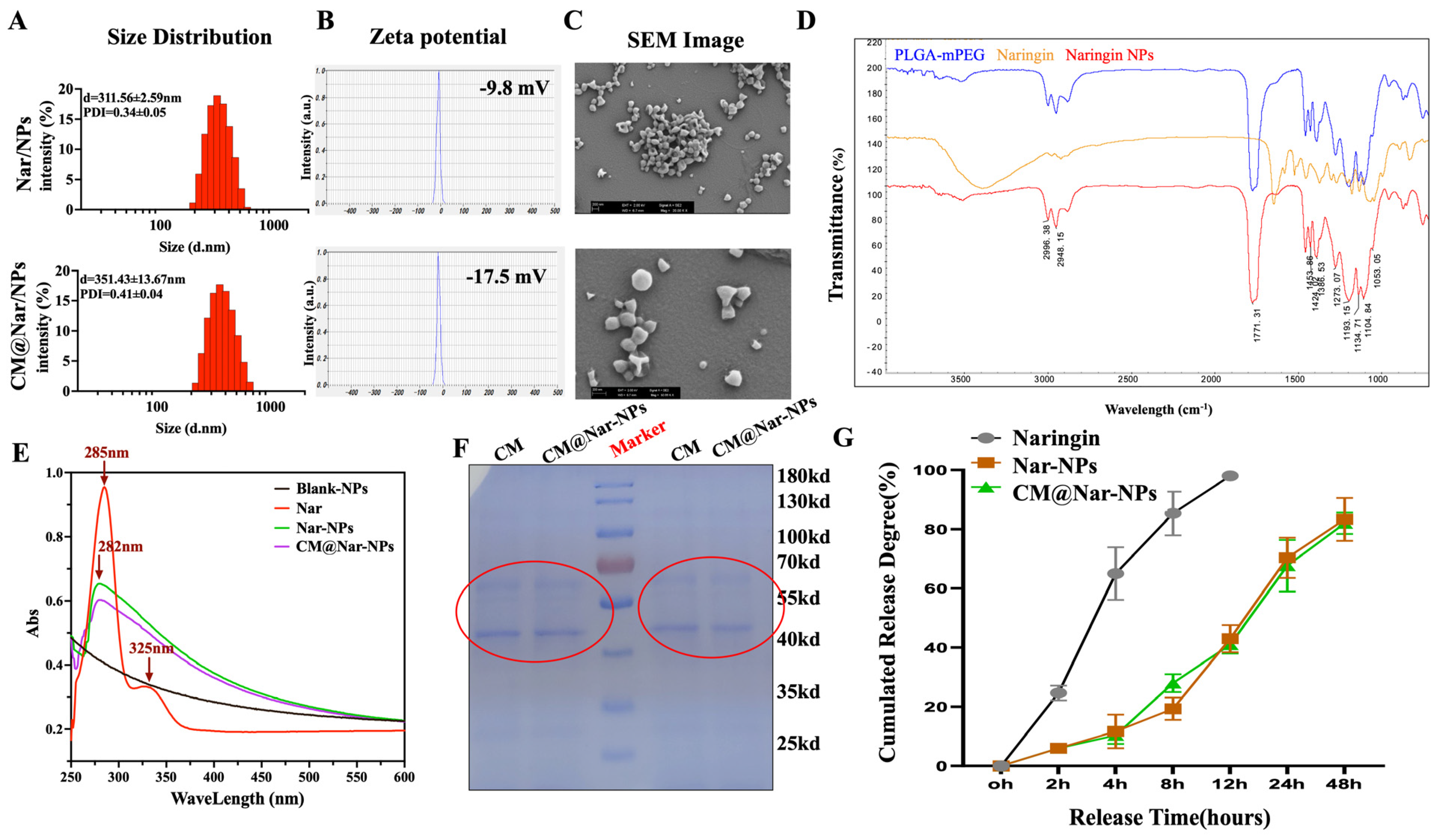Antioxidants 13 00282 g002