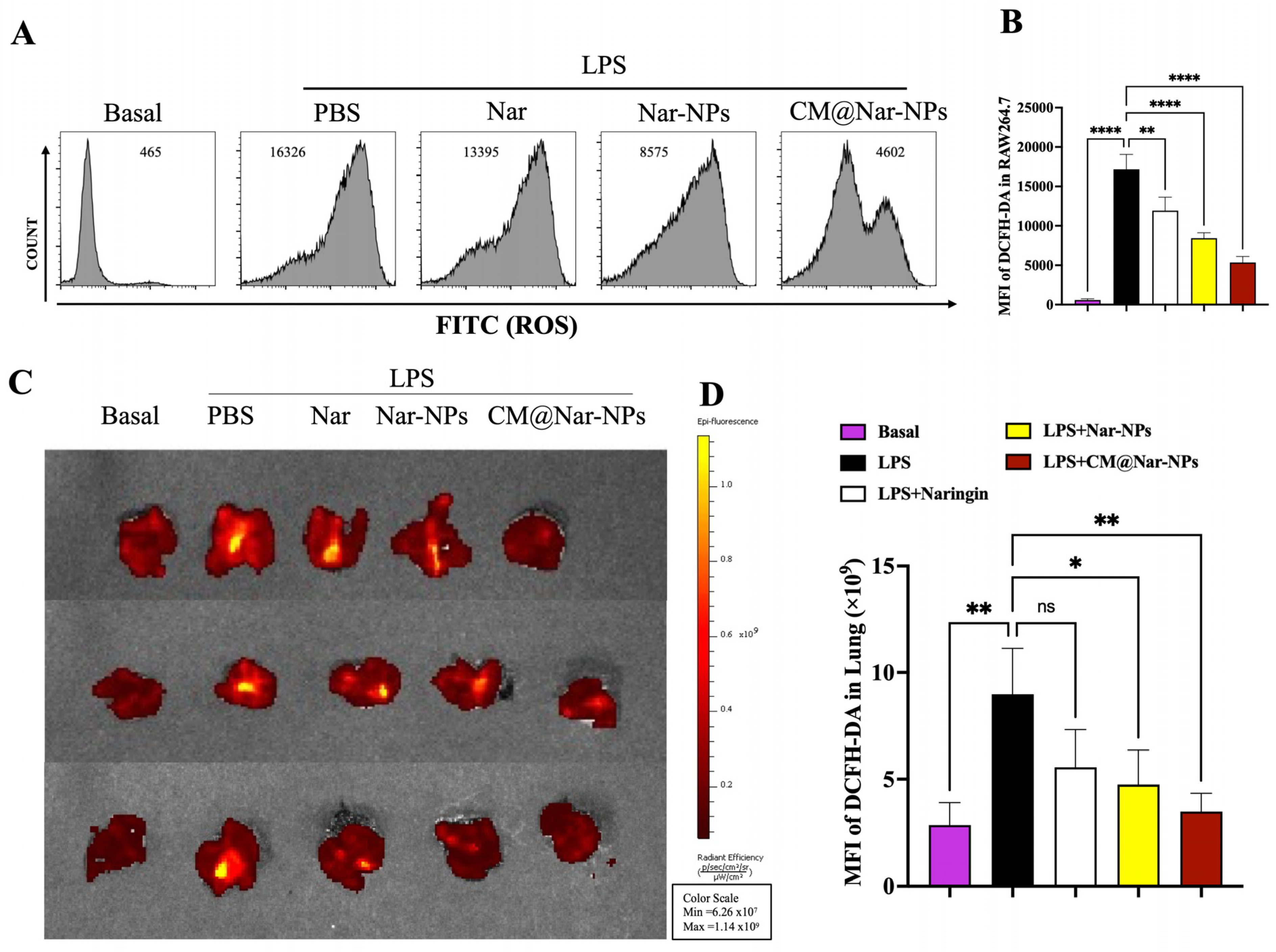 Antioxidants 13 00282 g008