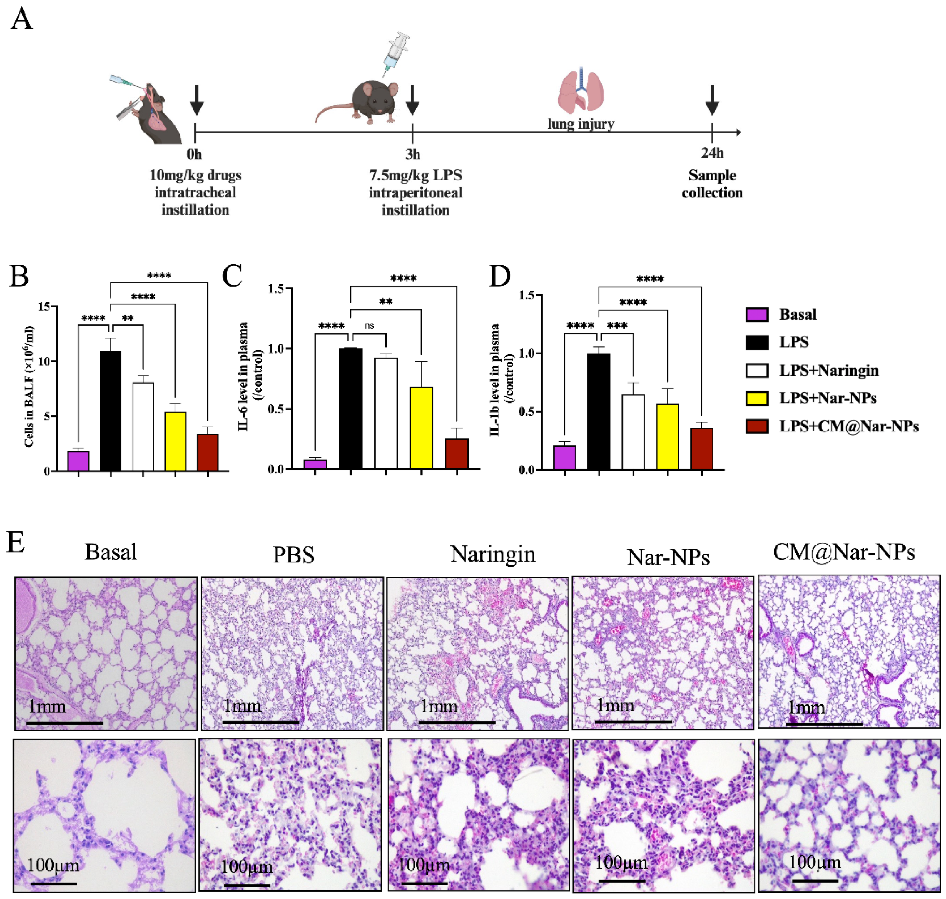Antioxidants 13 00282 g009