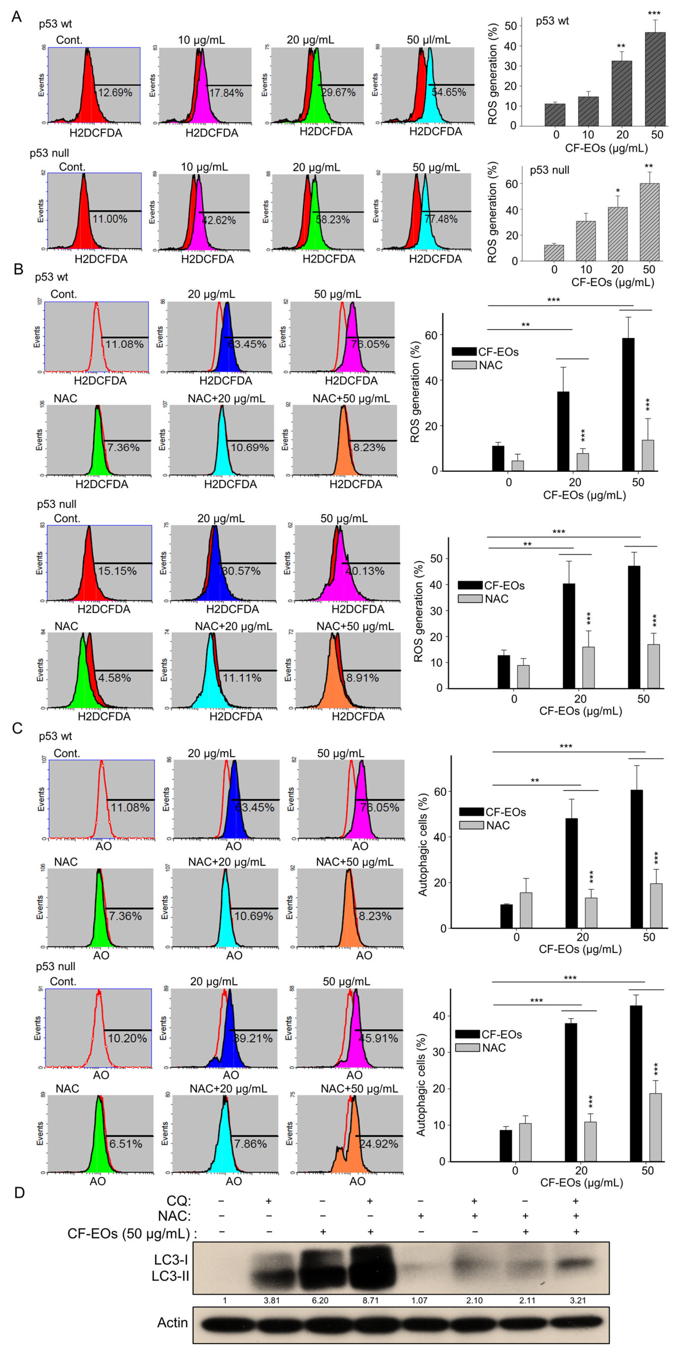 Antioxidants 13 00284 g003