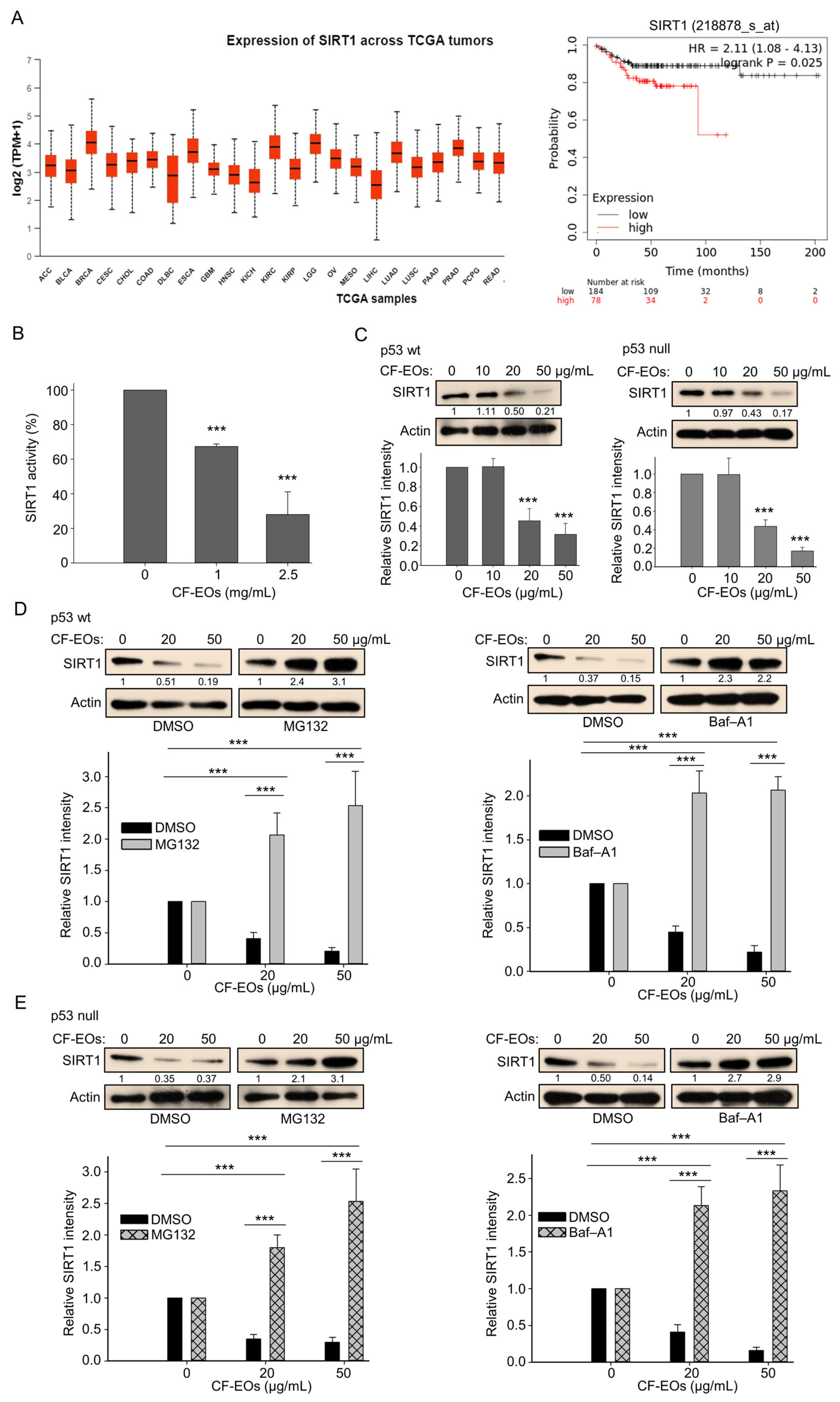 Antioxidants 13 00284 g005