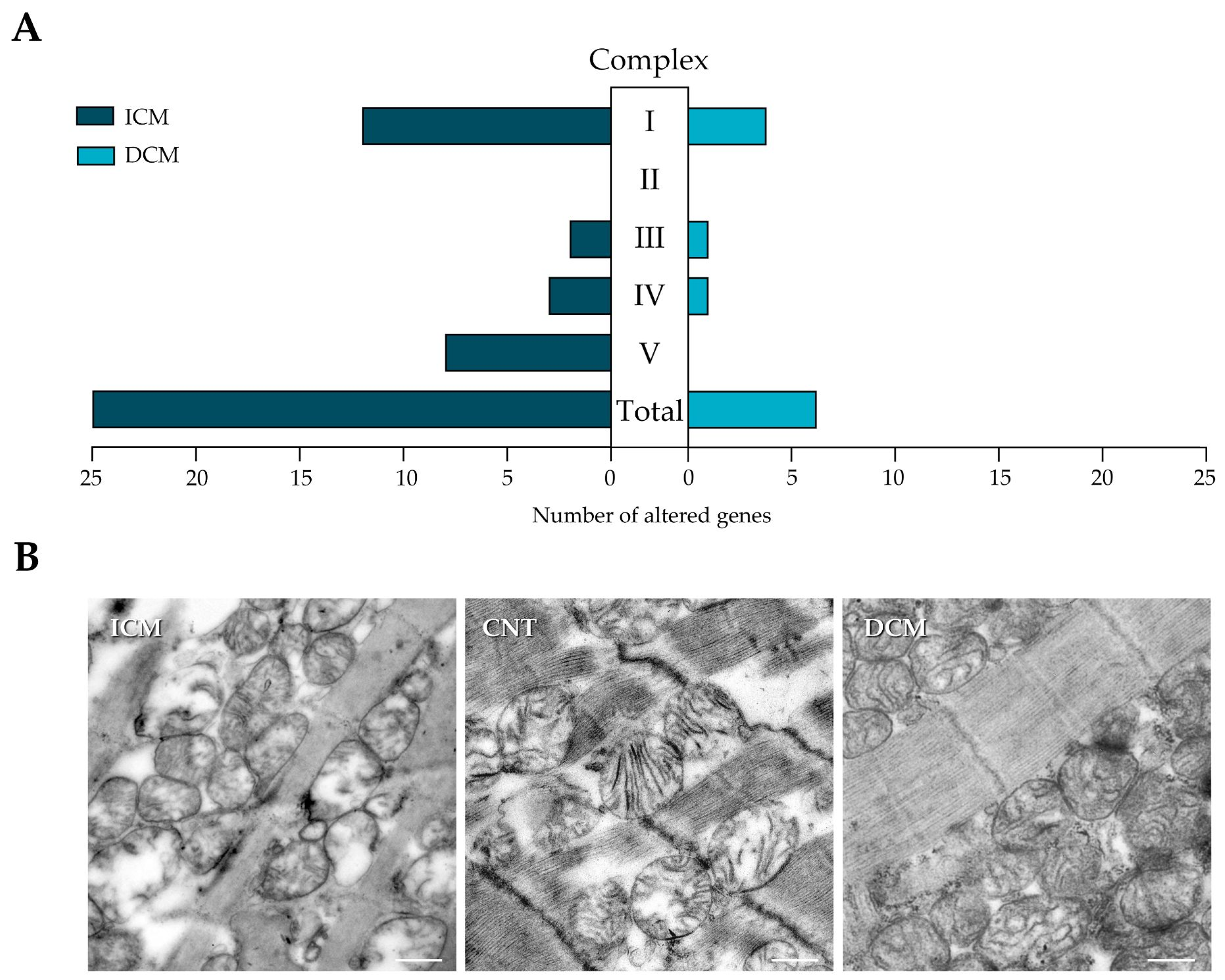 Antioxidants 13 00285 g001