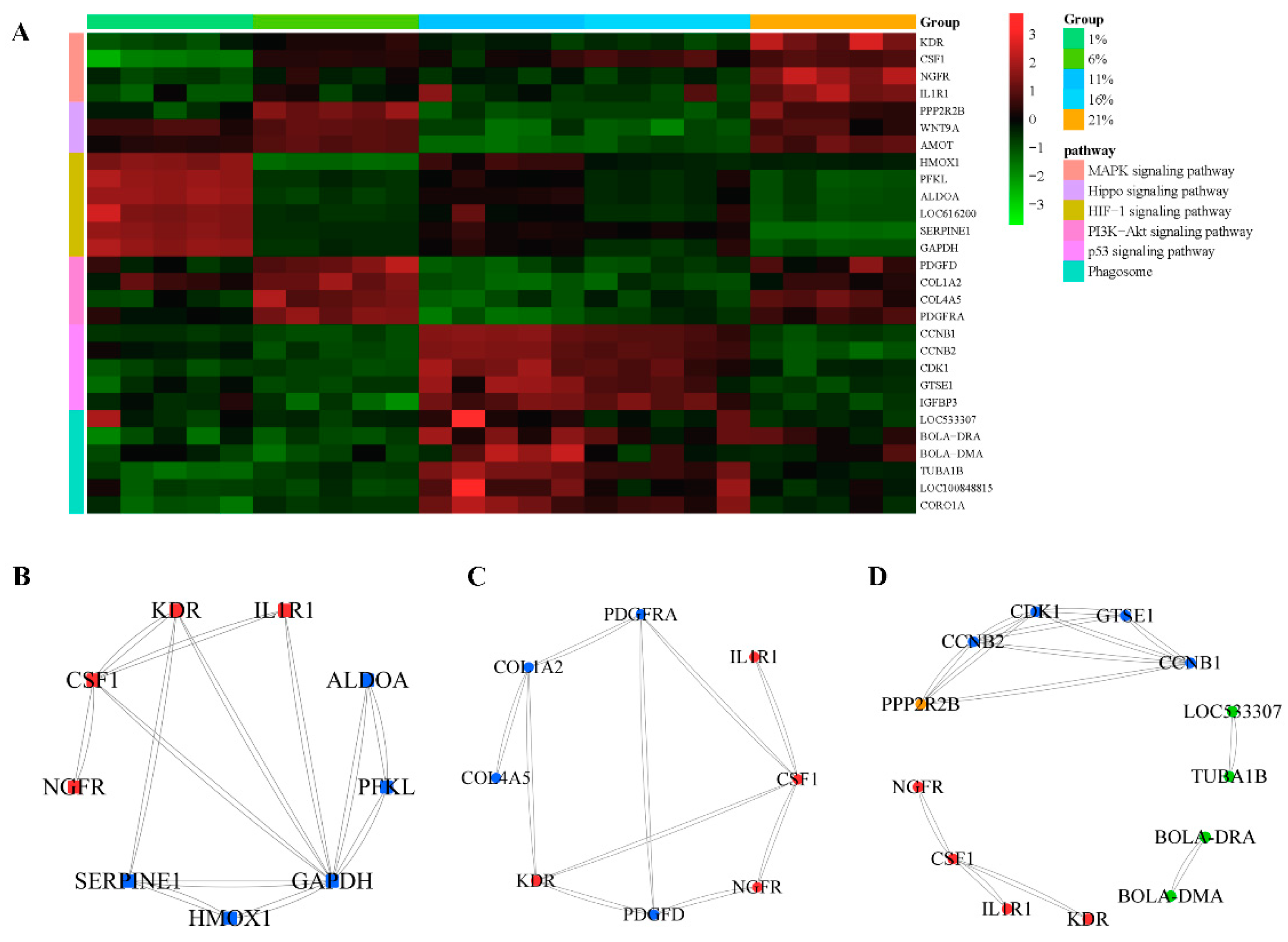 Antioxidants 13 00288 g006