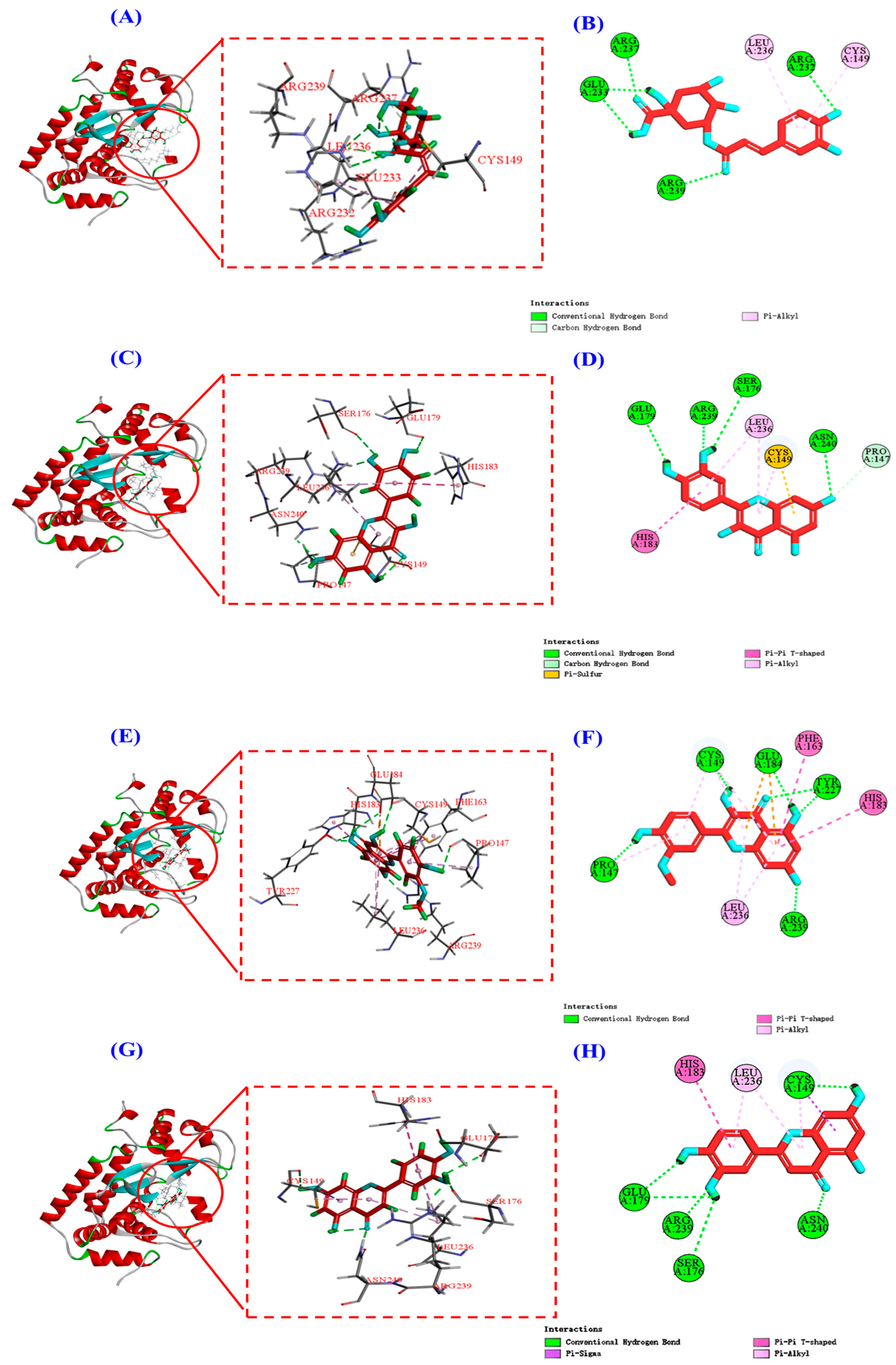 Antioxidants 13 00294 g012