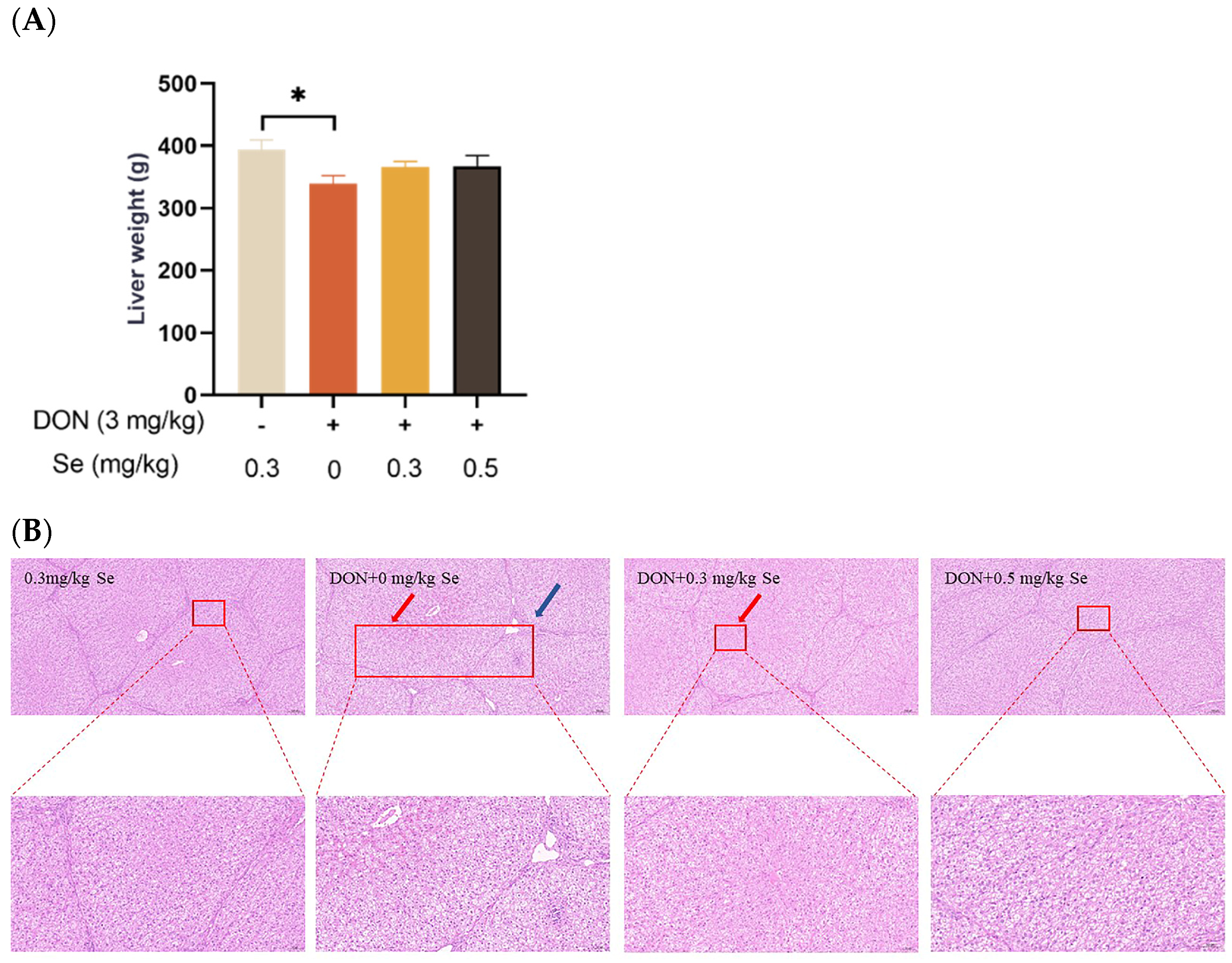 Antioxidants 13 00295 g001