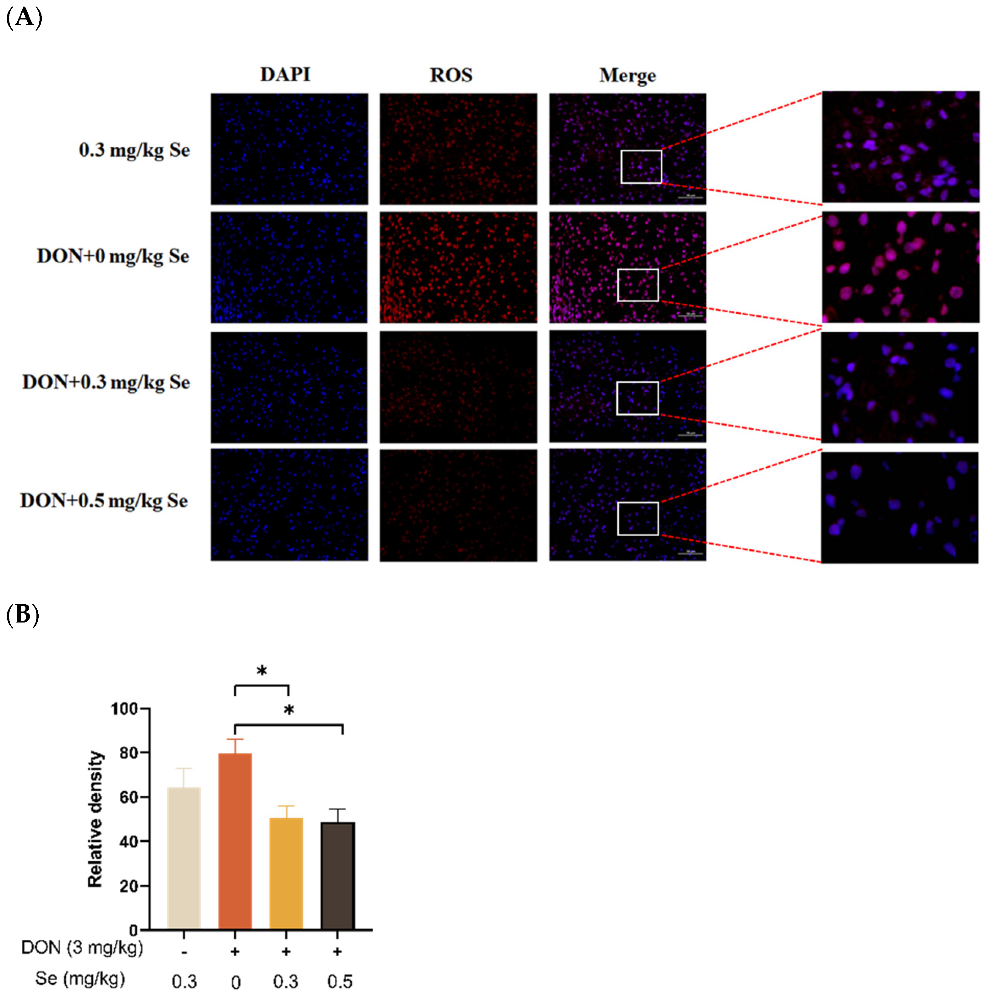 Antioxidants 13 00295 g003