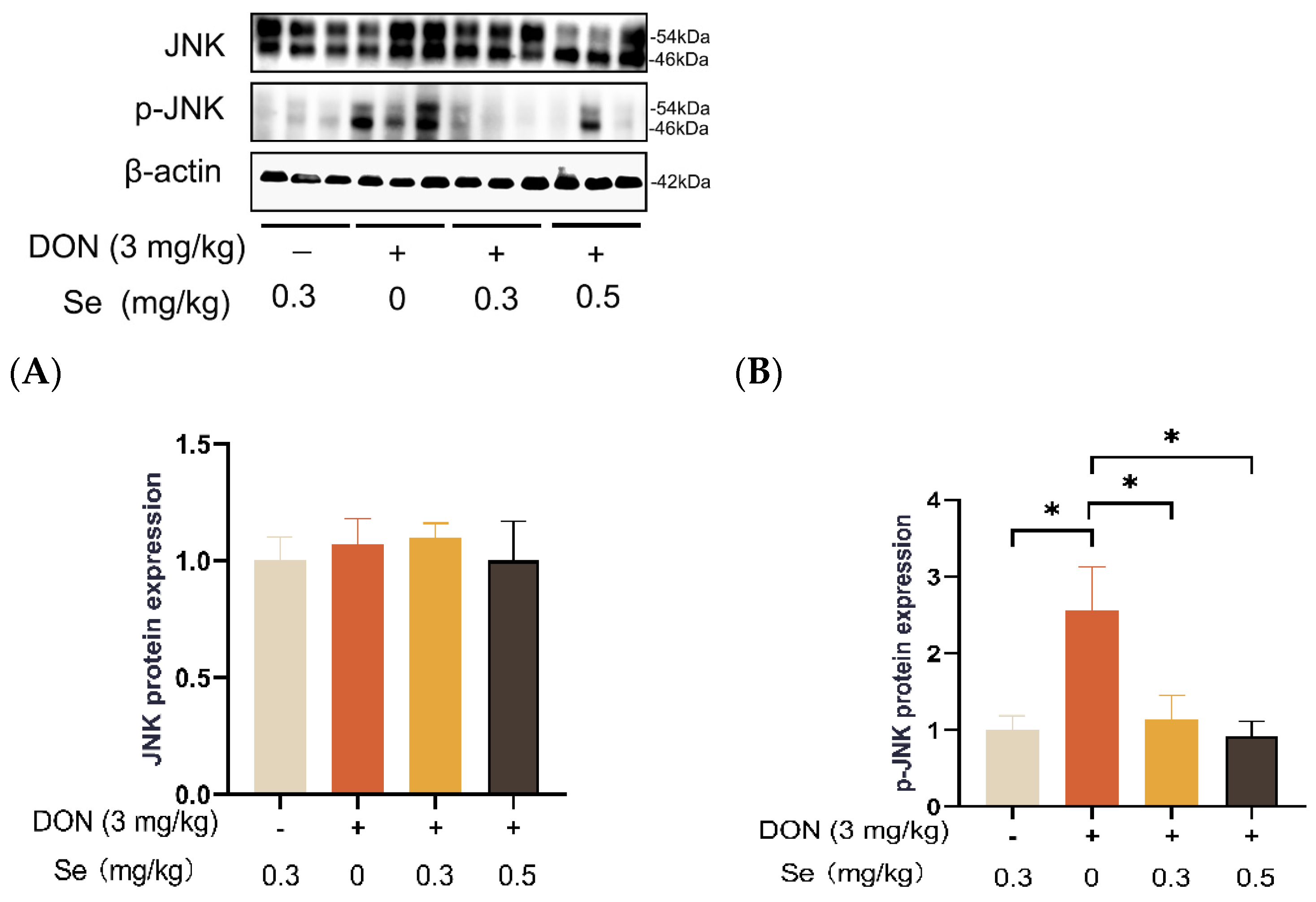 Antioxidants 13 00295 g008