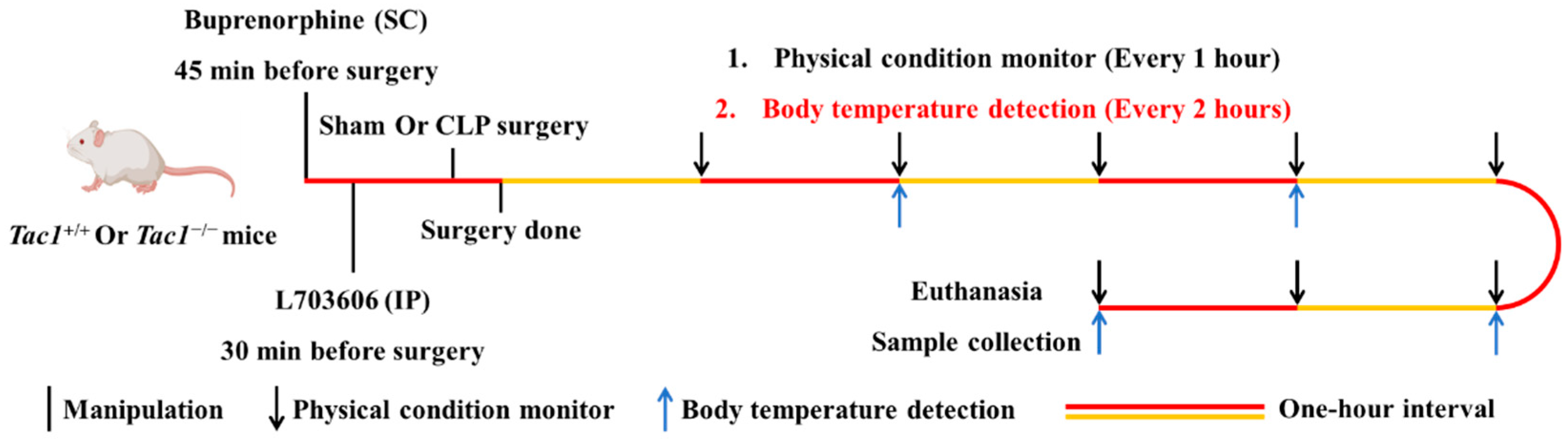 Antioxidants 13 00300 g001