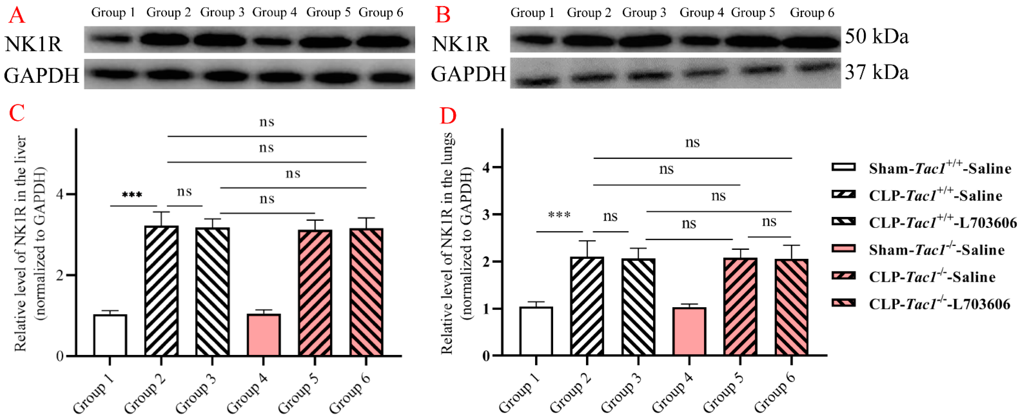 Antioxidants 13 00300 g003